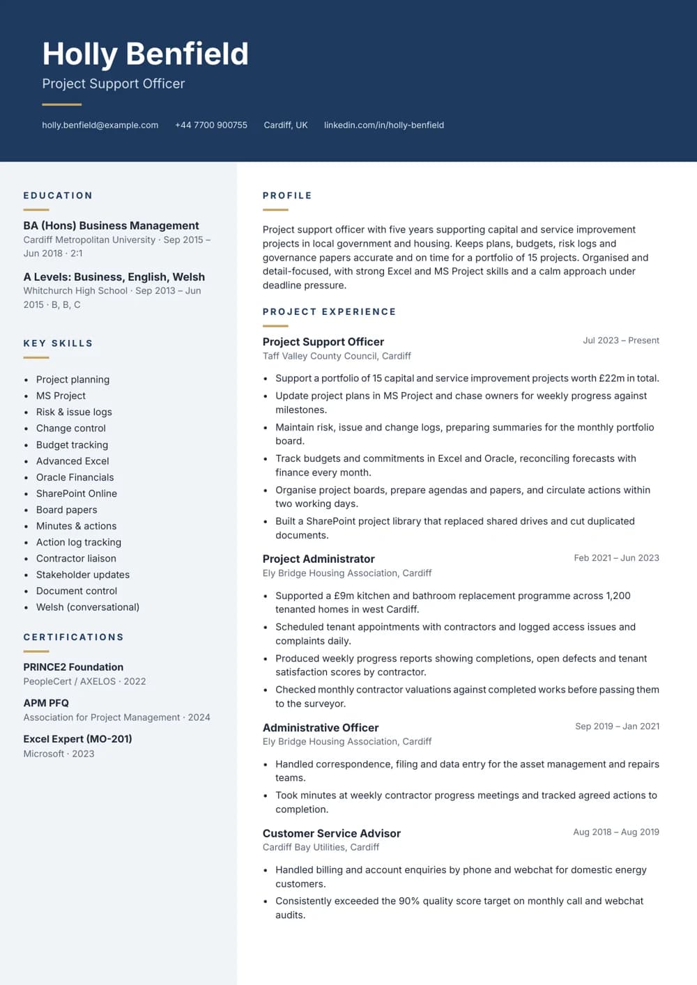 Project Support Officer CV template