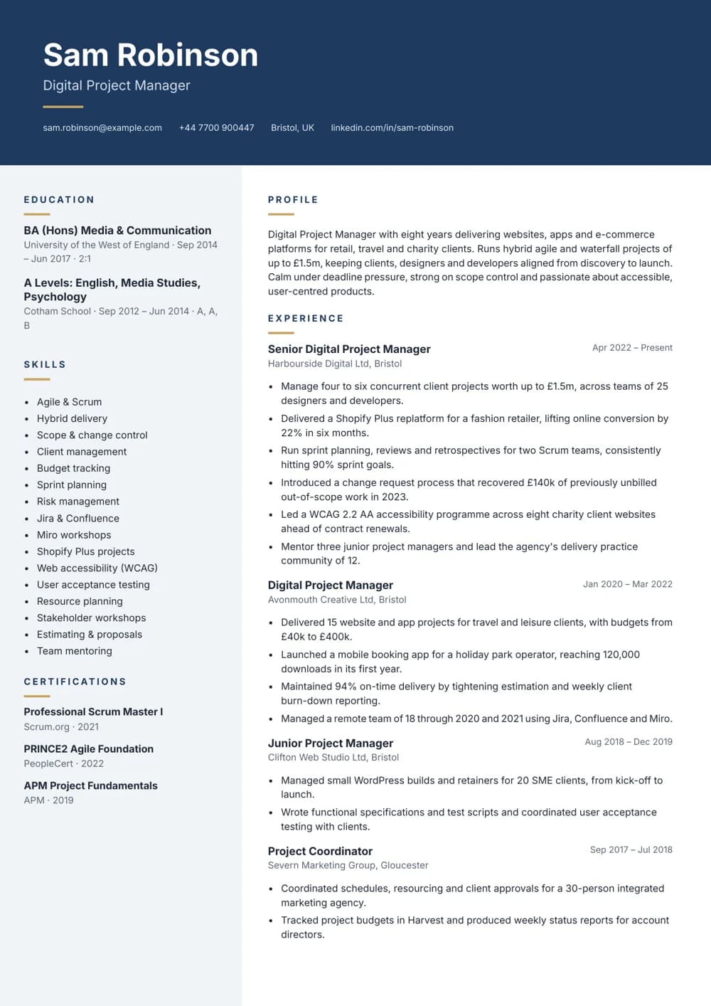 Digital Project Manager CV template