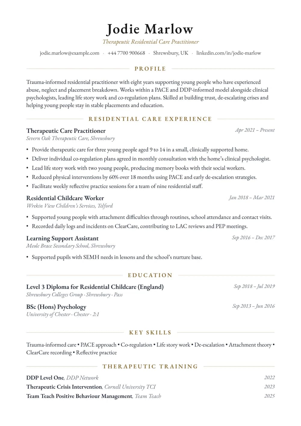 Therapeutic Care Practitioner CV template