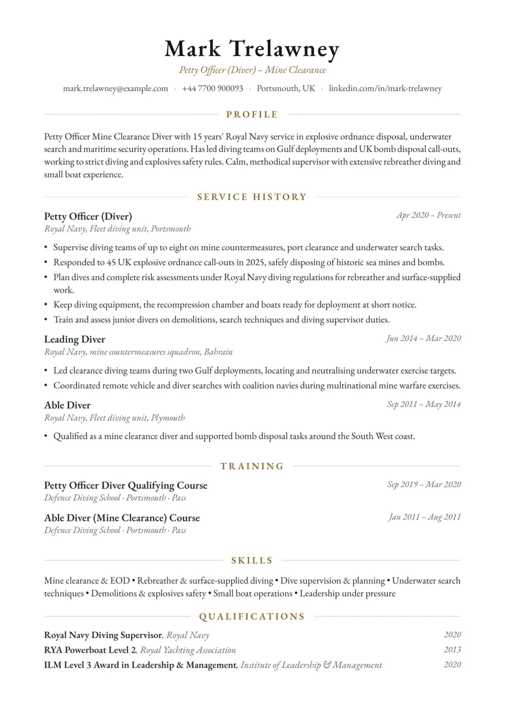 Mine Clearance Diver CV template