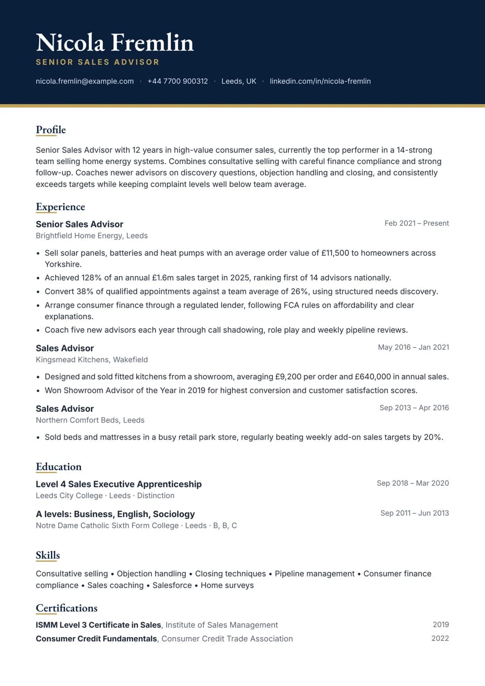 senior sales advisor cv template