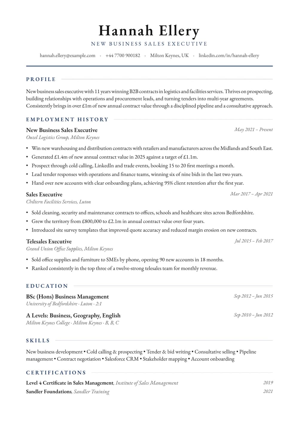 New Business Sales Executive CV template