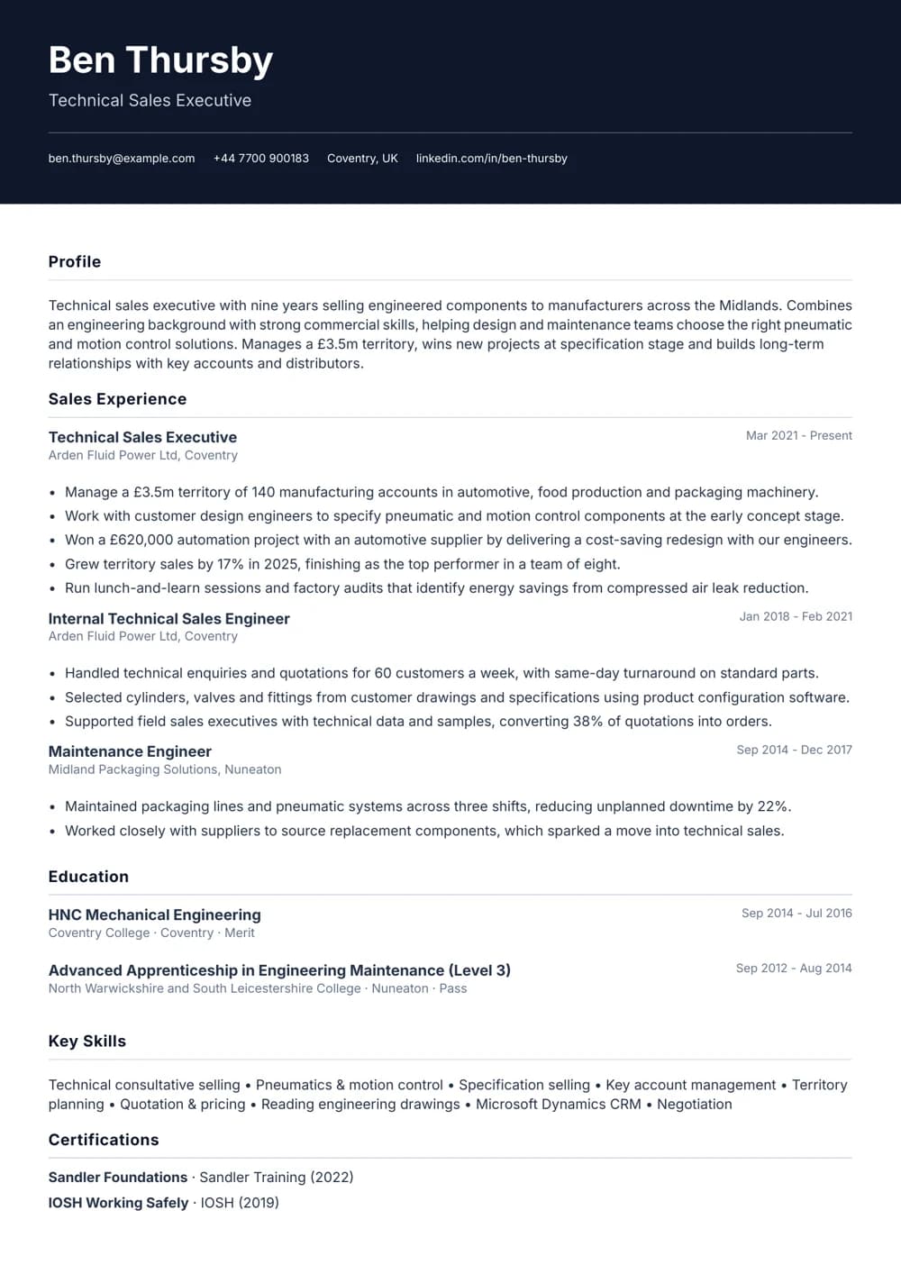 Technical Sales Executive CV template