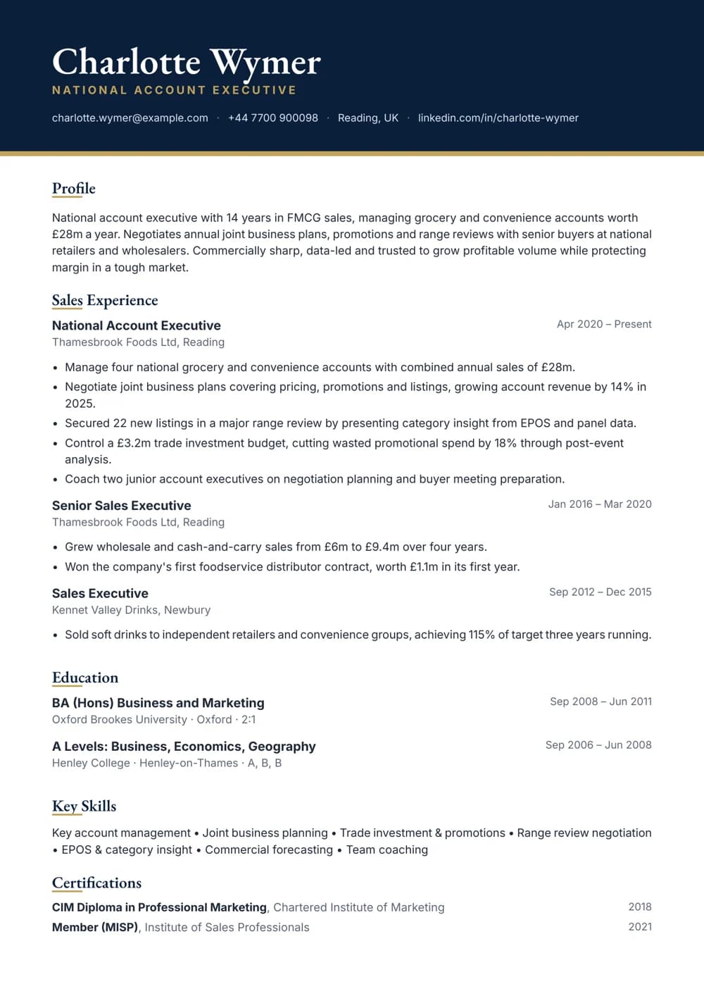 National Account Executive CV template