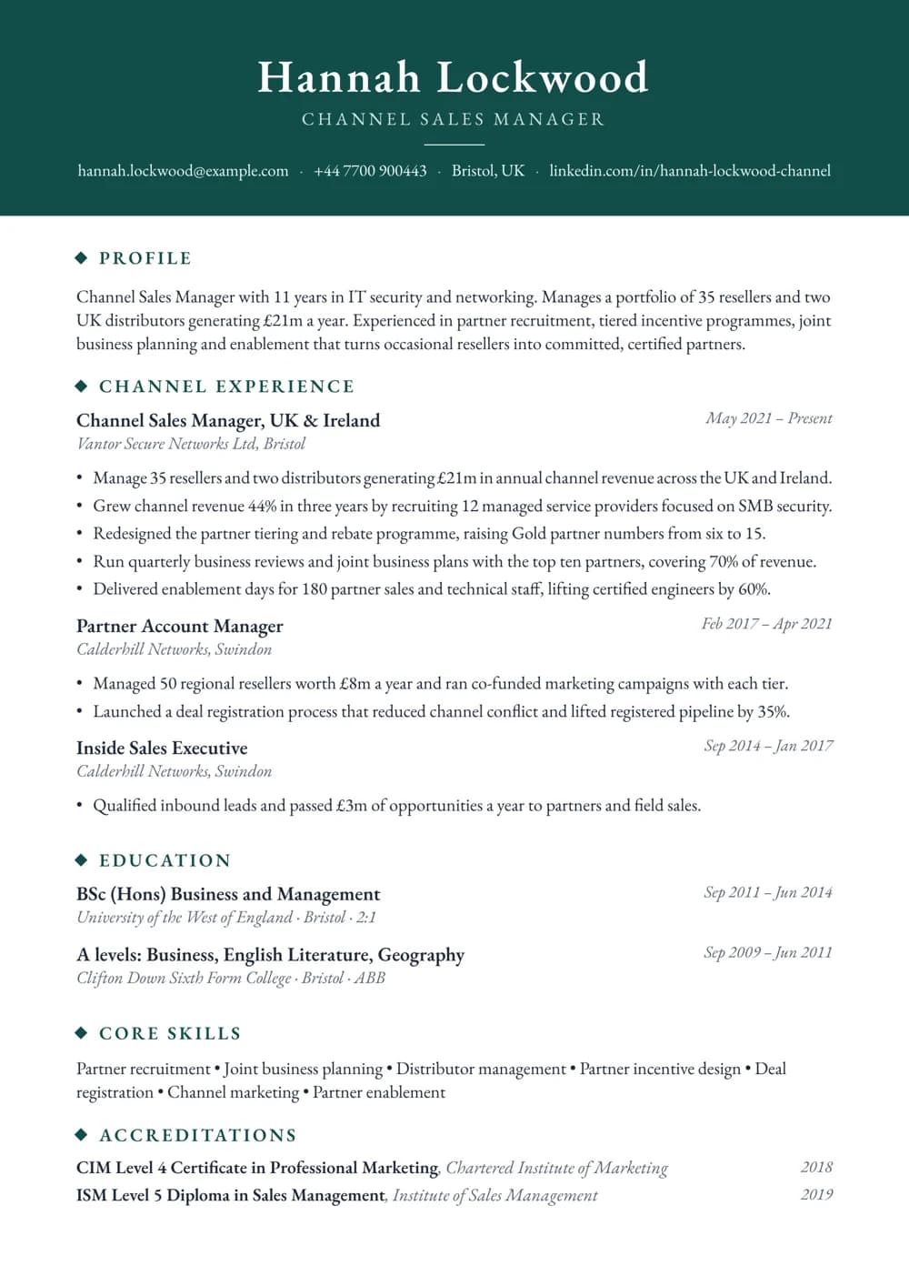 Channel Sales Manager CV template