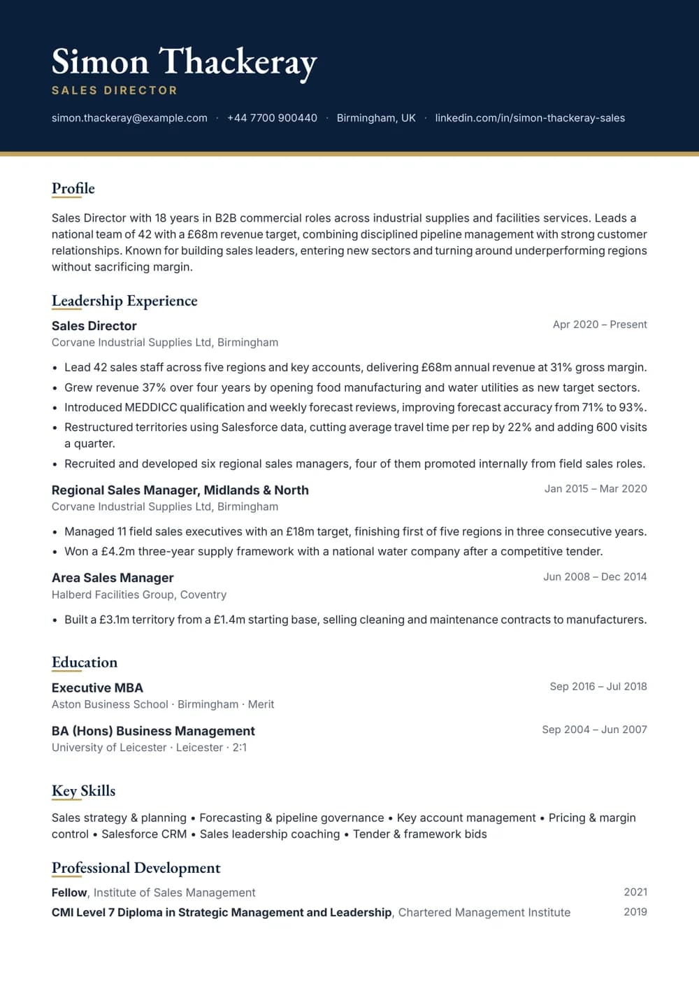 Sales Director CV template