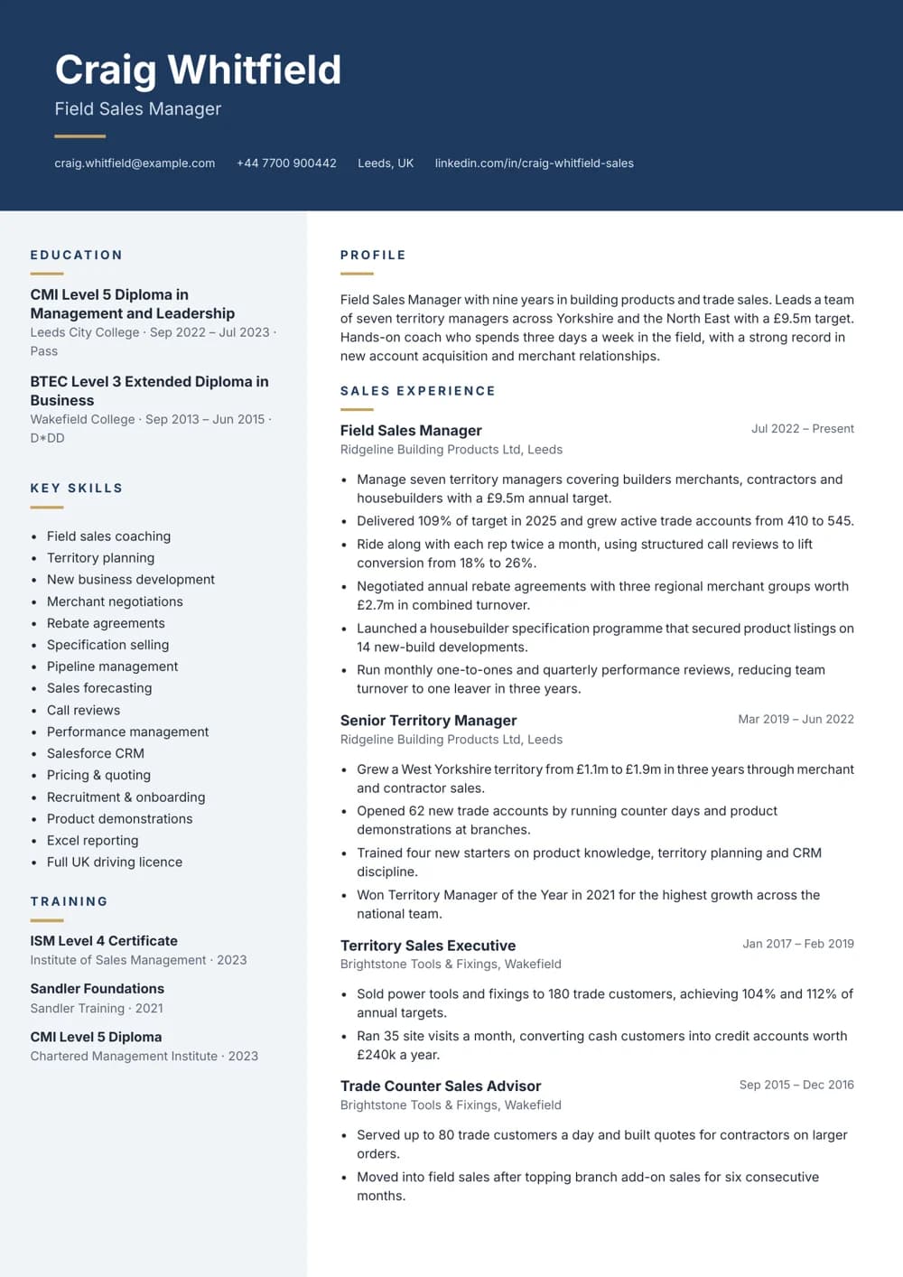 Field Sales Manager CV template