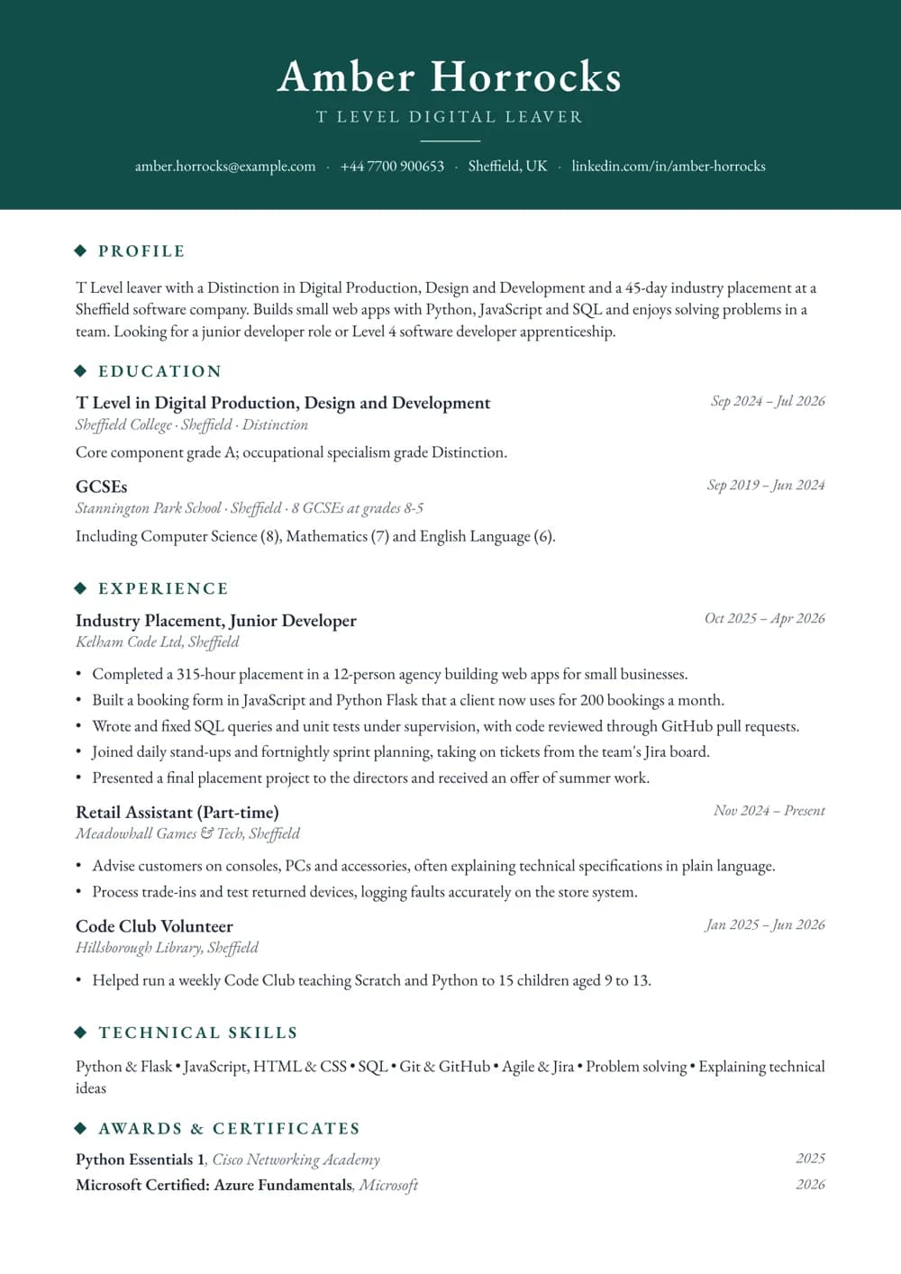 t level digital leaver cv template
