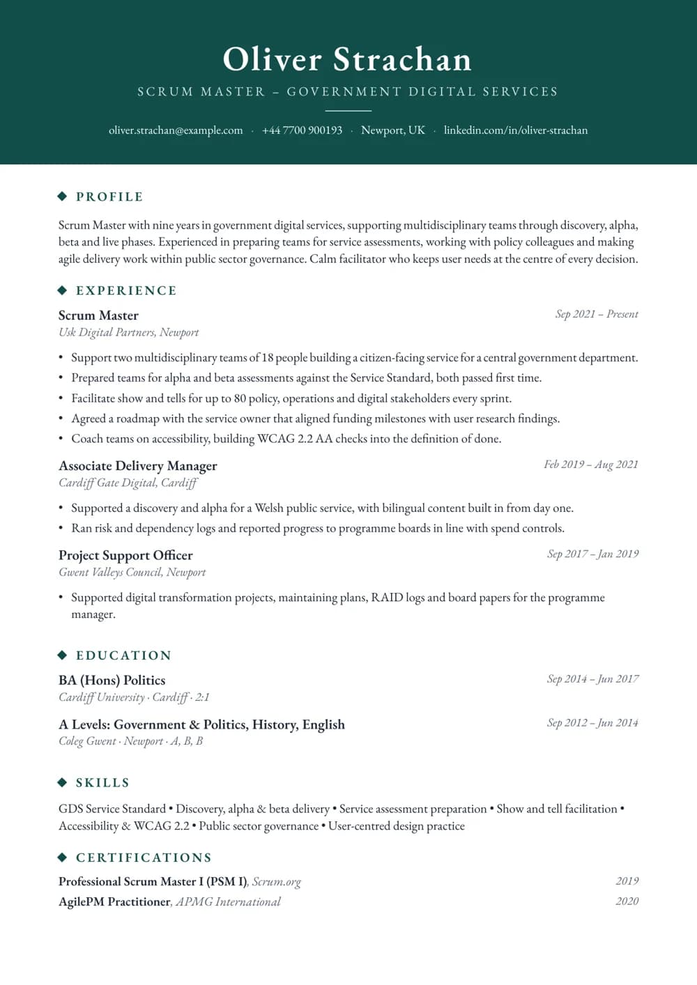 public sector scrum master cv template