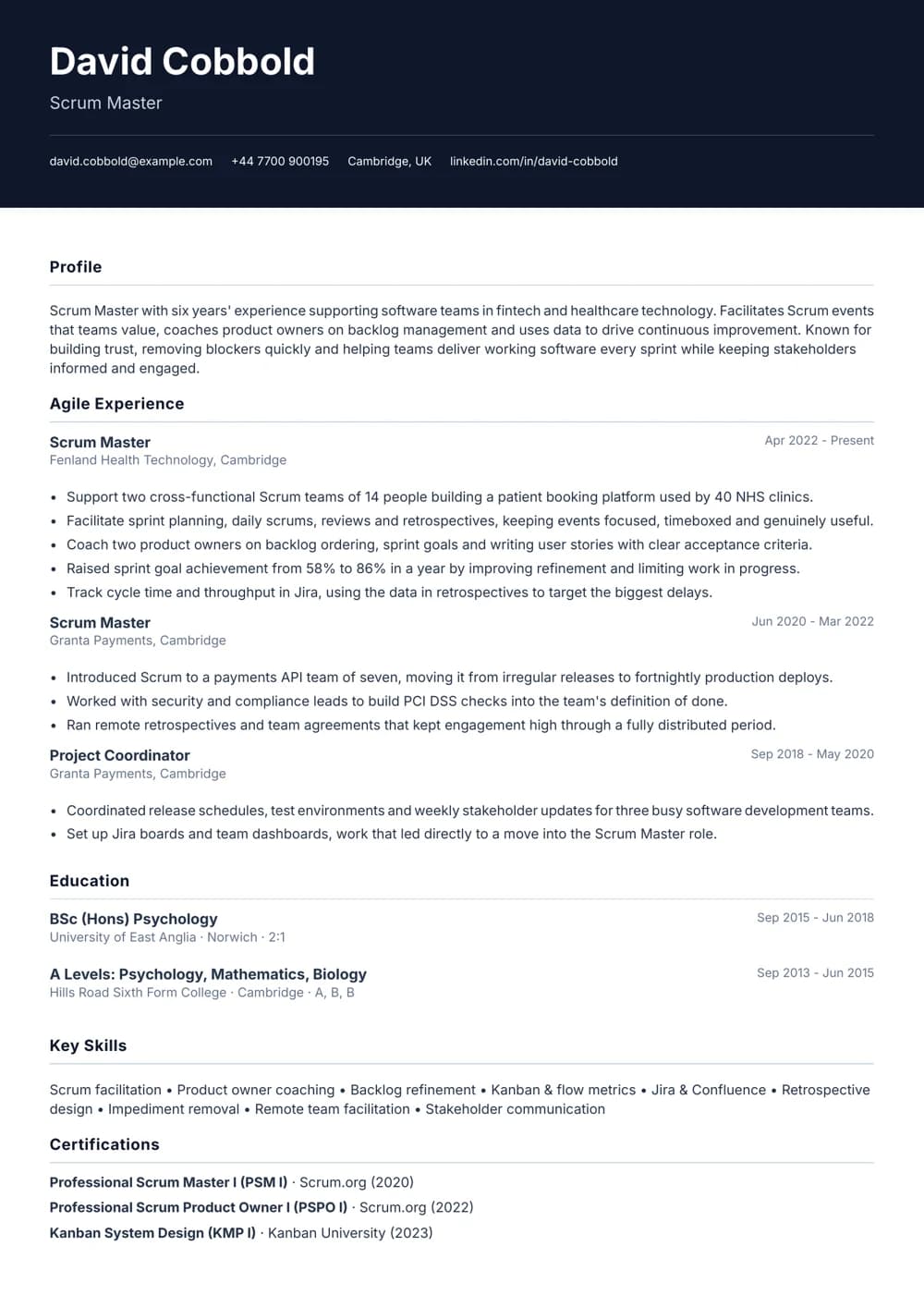 scrum master cv template