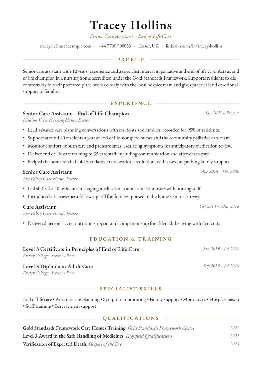 Senior Palliative Care Assistant CV template