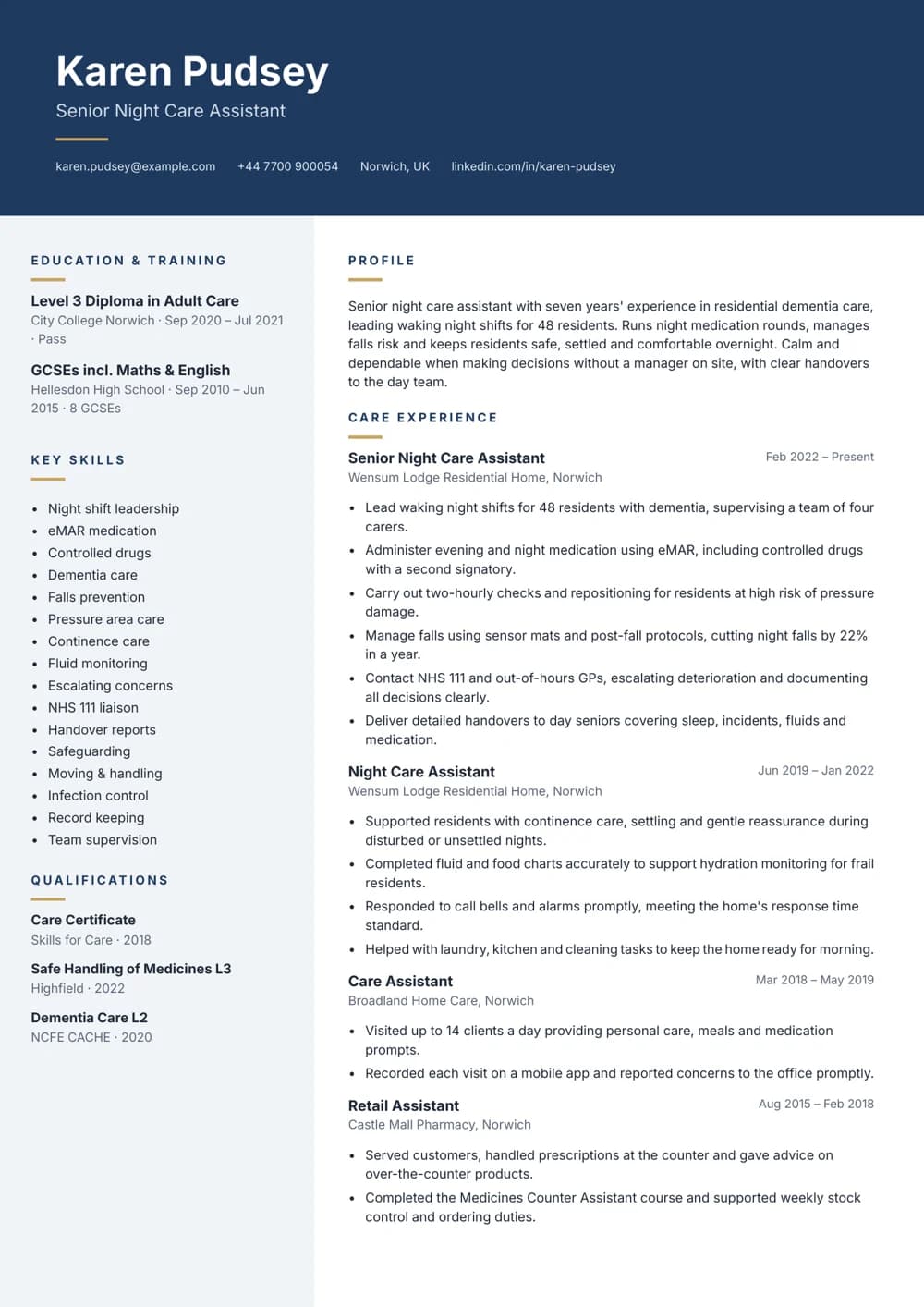 Senior Night Care Assistant CV template