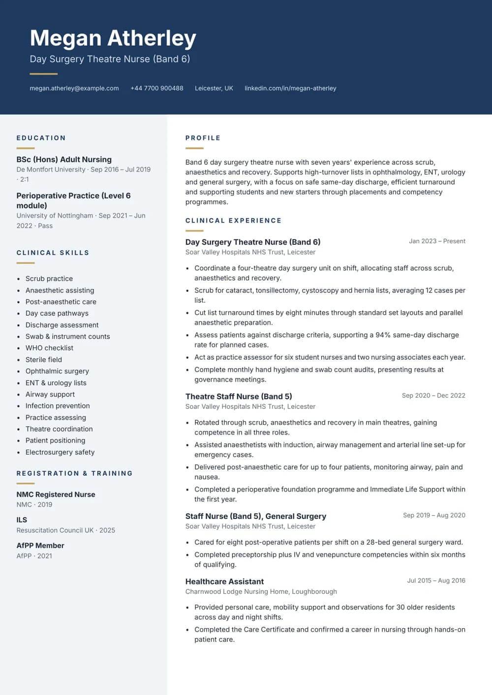 Day Surgery Theatre Nurse CV template
