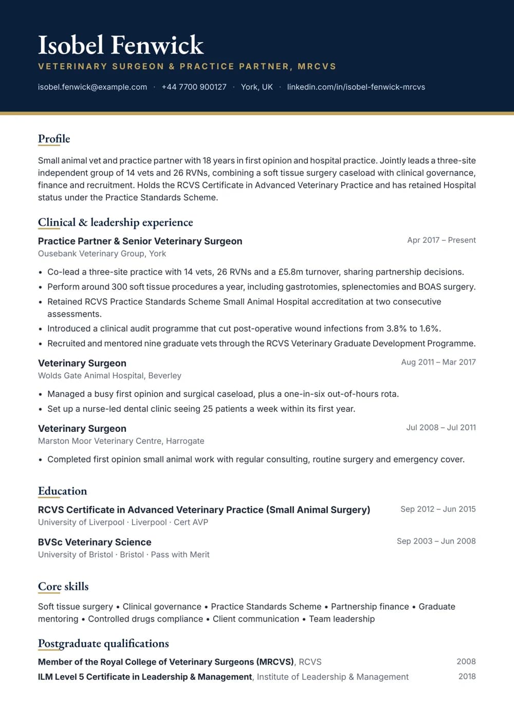Veterinary Practice Partner CV template