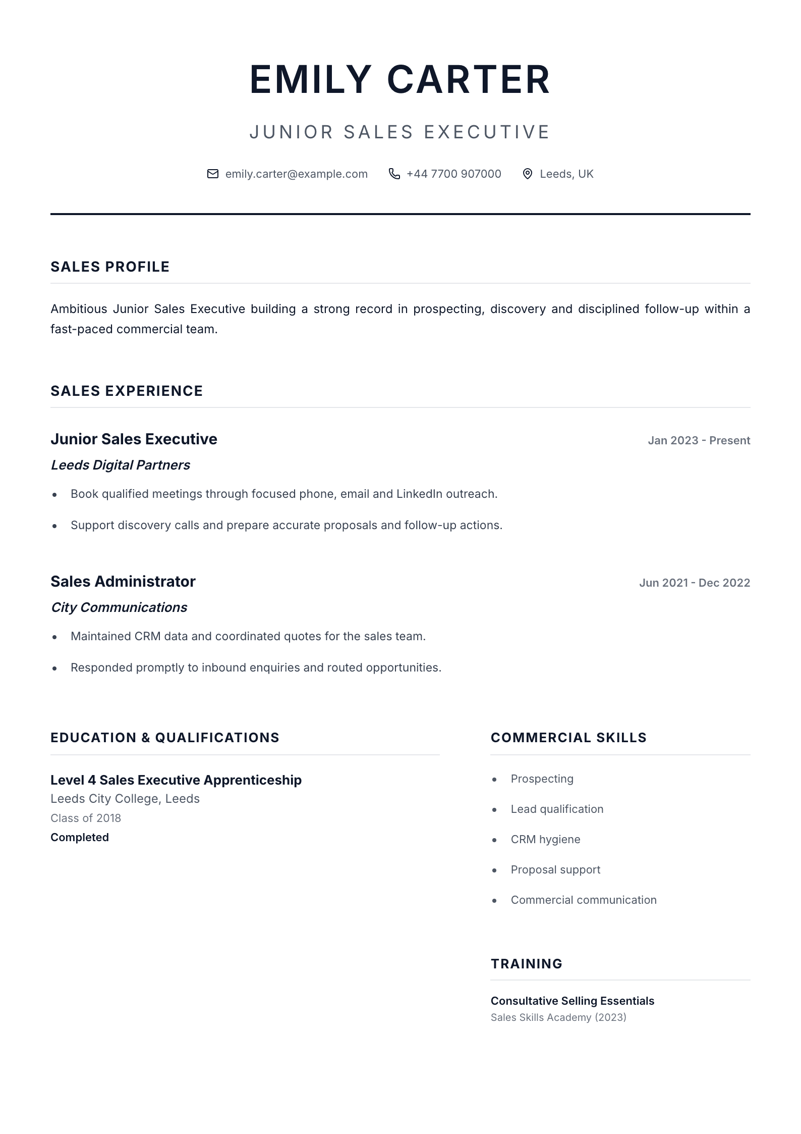 Junior Sales Executive CV template