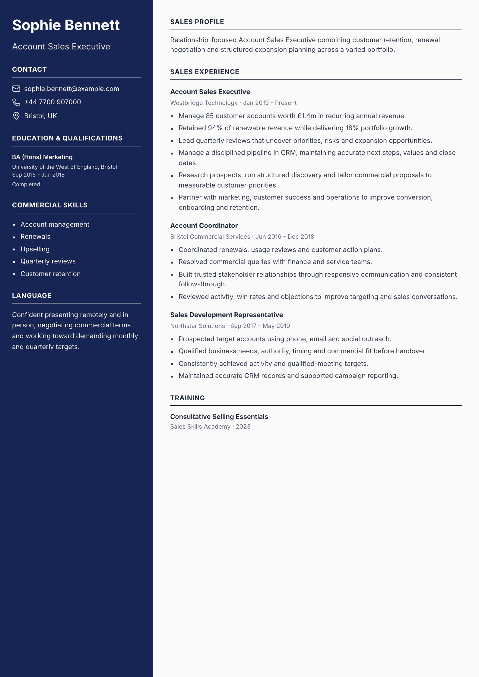 Account Sales Executive CV template