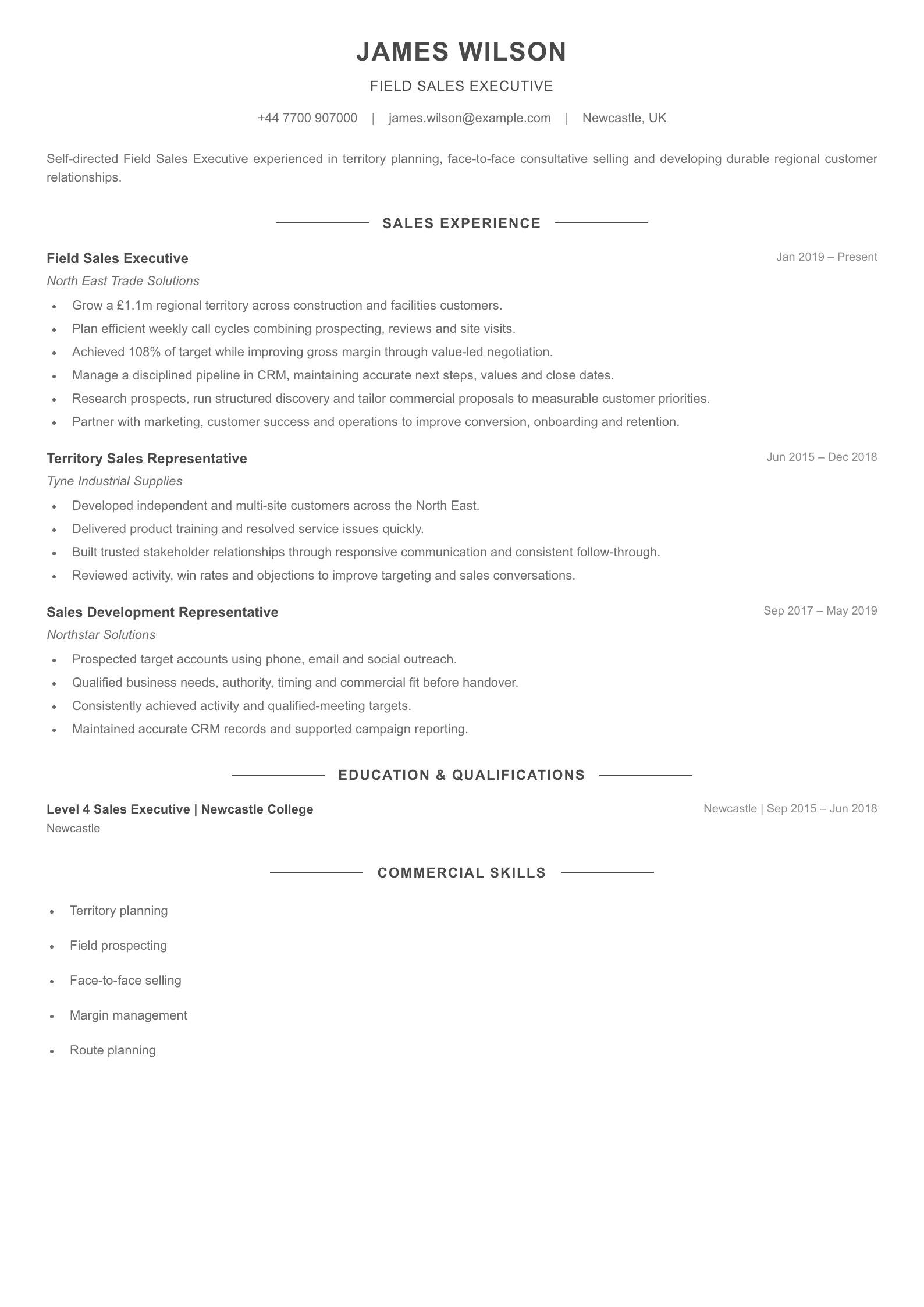 Field Sales Executive CV template