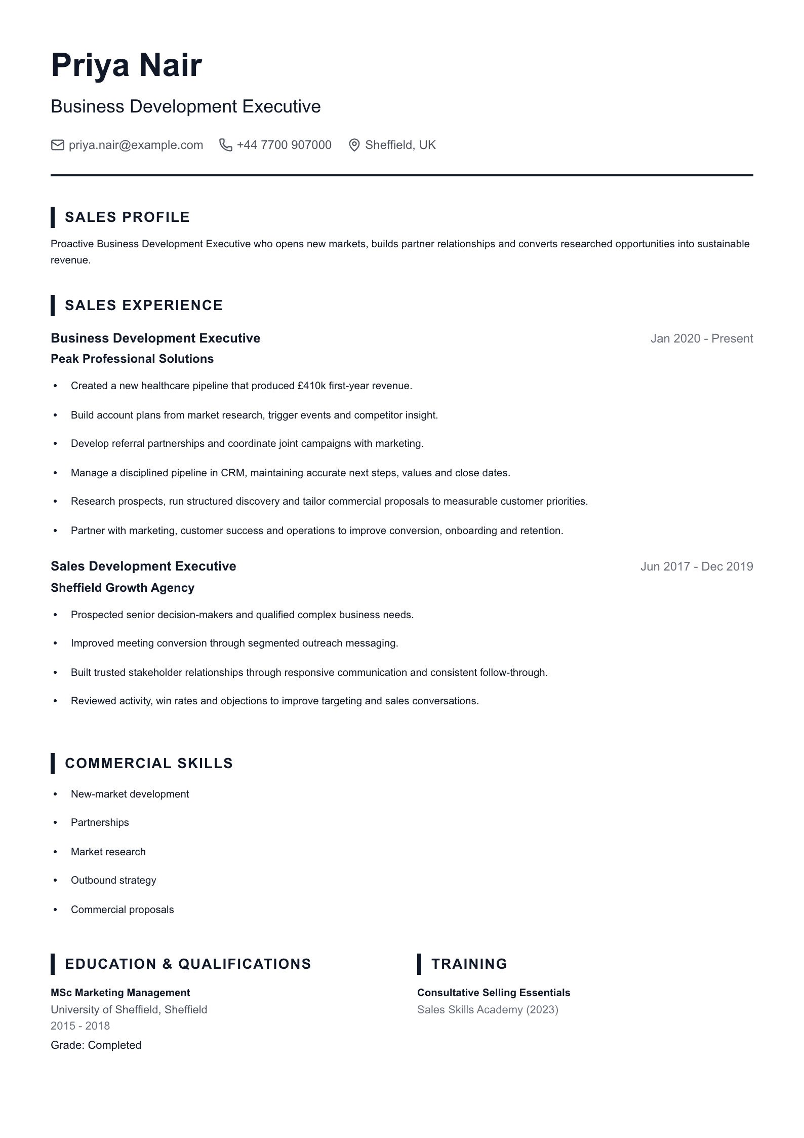 Business Development Executive CV template