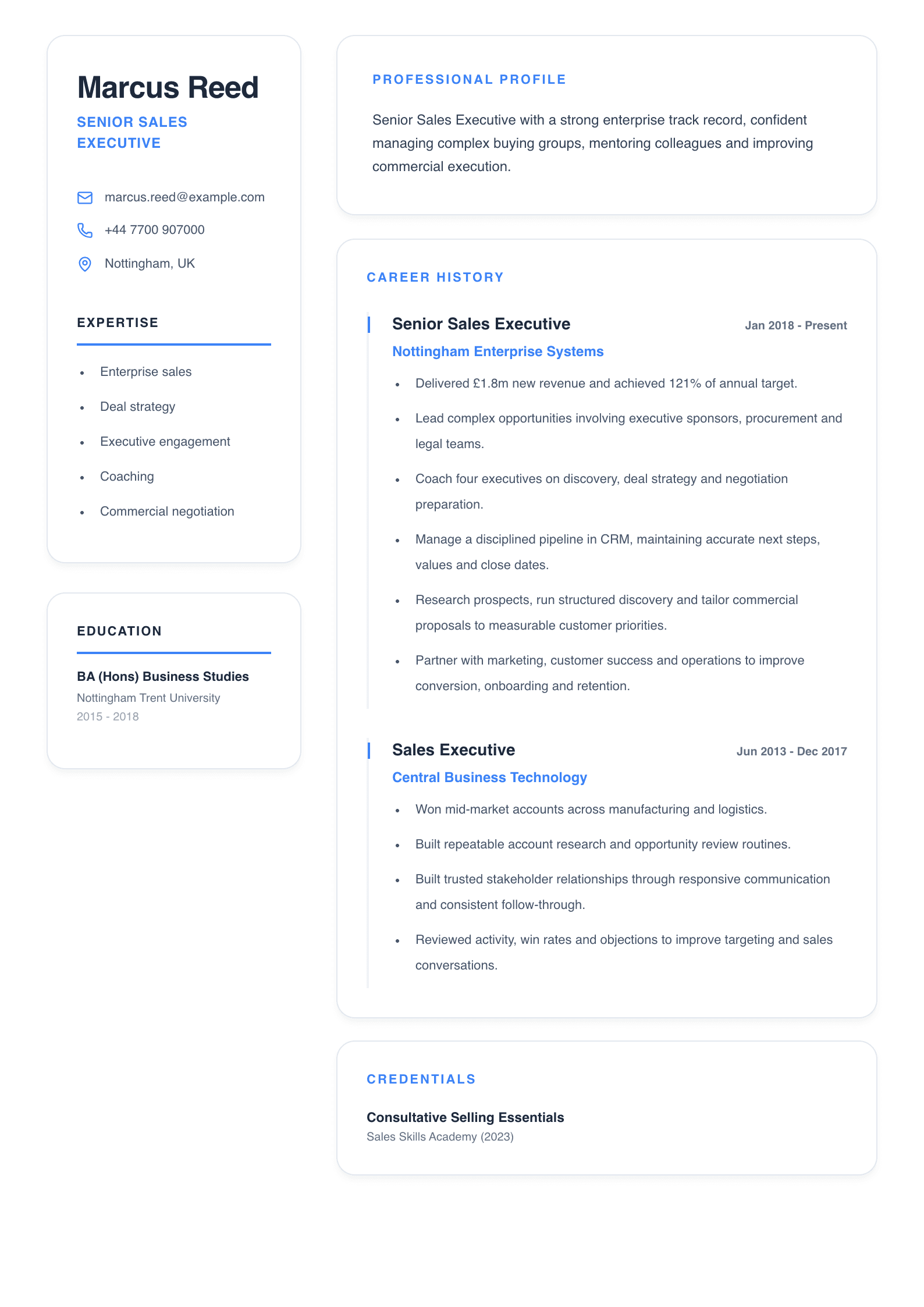 Senior Sales Executive CV template