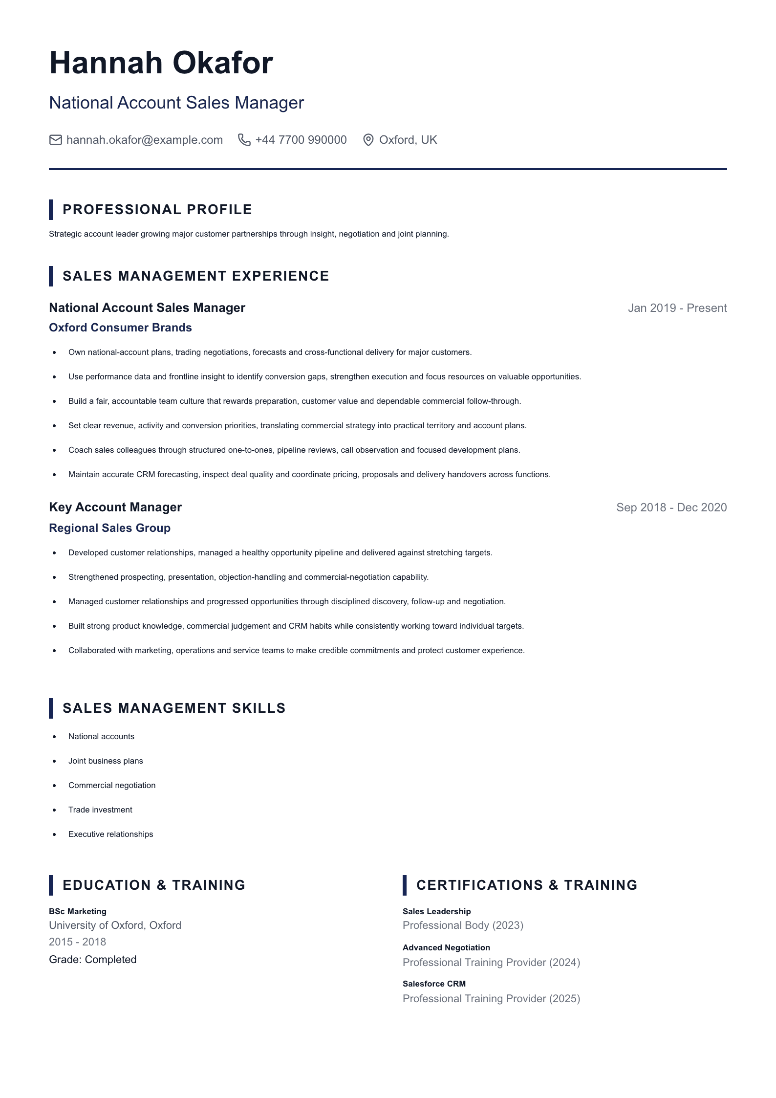 National Account Sales Manager CV template