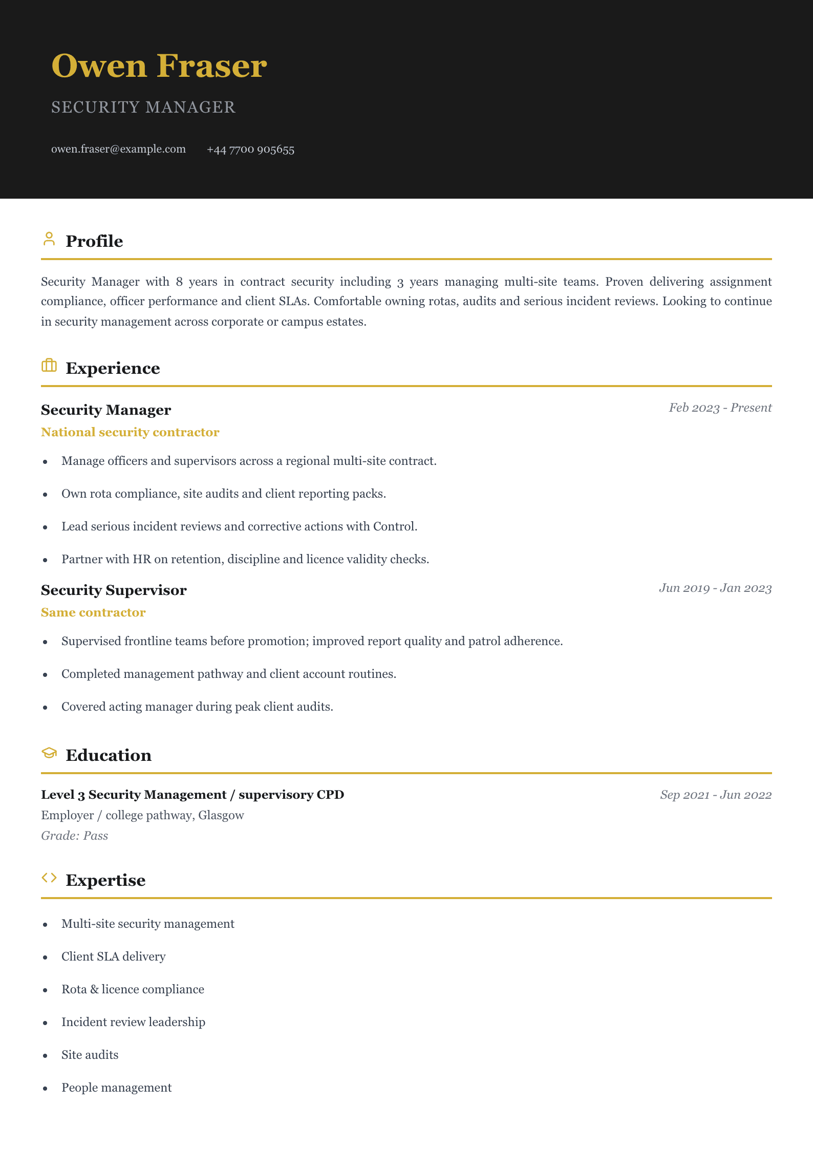 security manager cv template