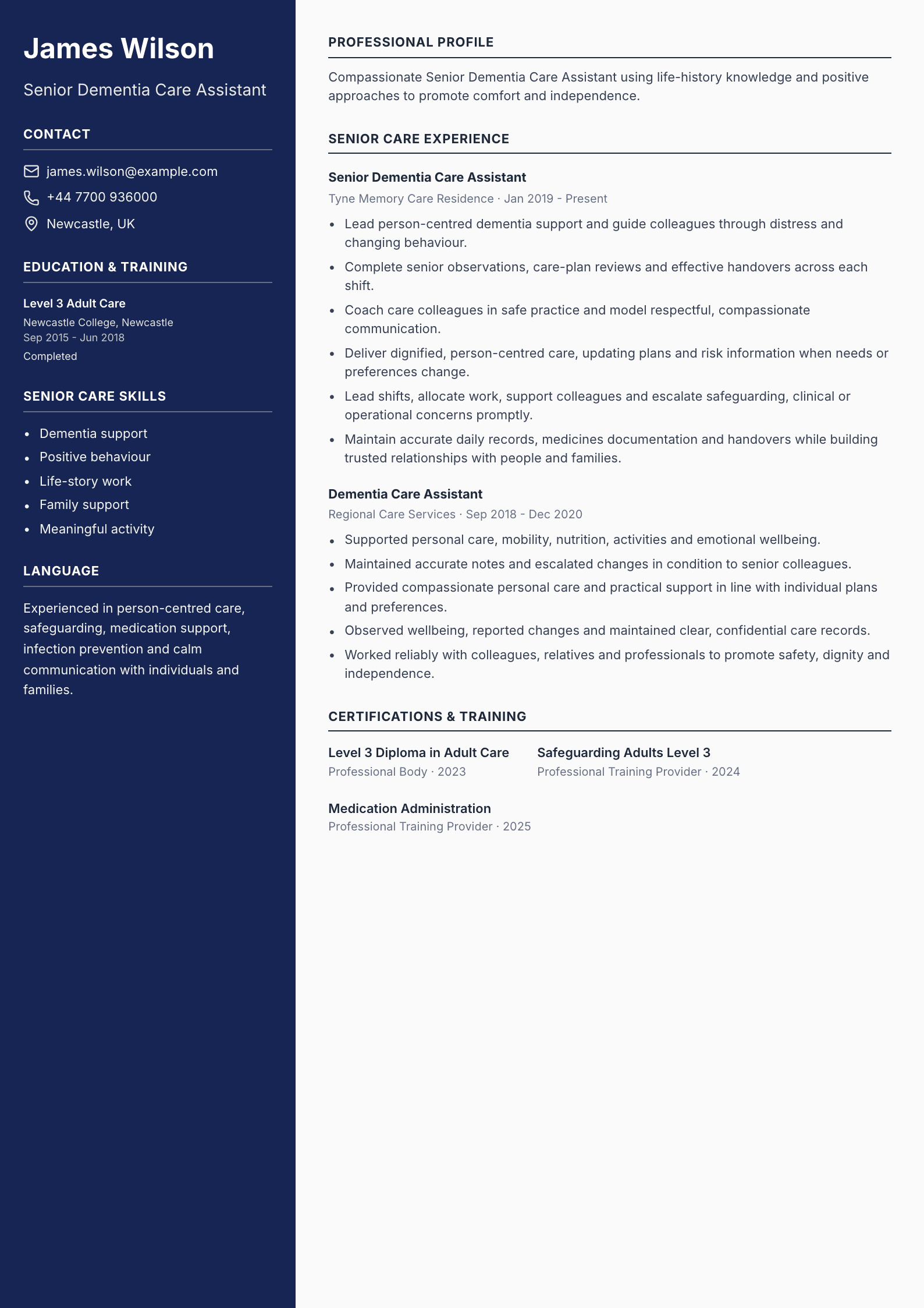 Senior Dementia Care Assistant CV template