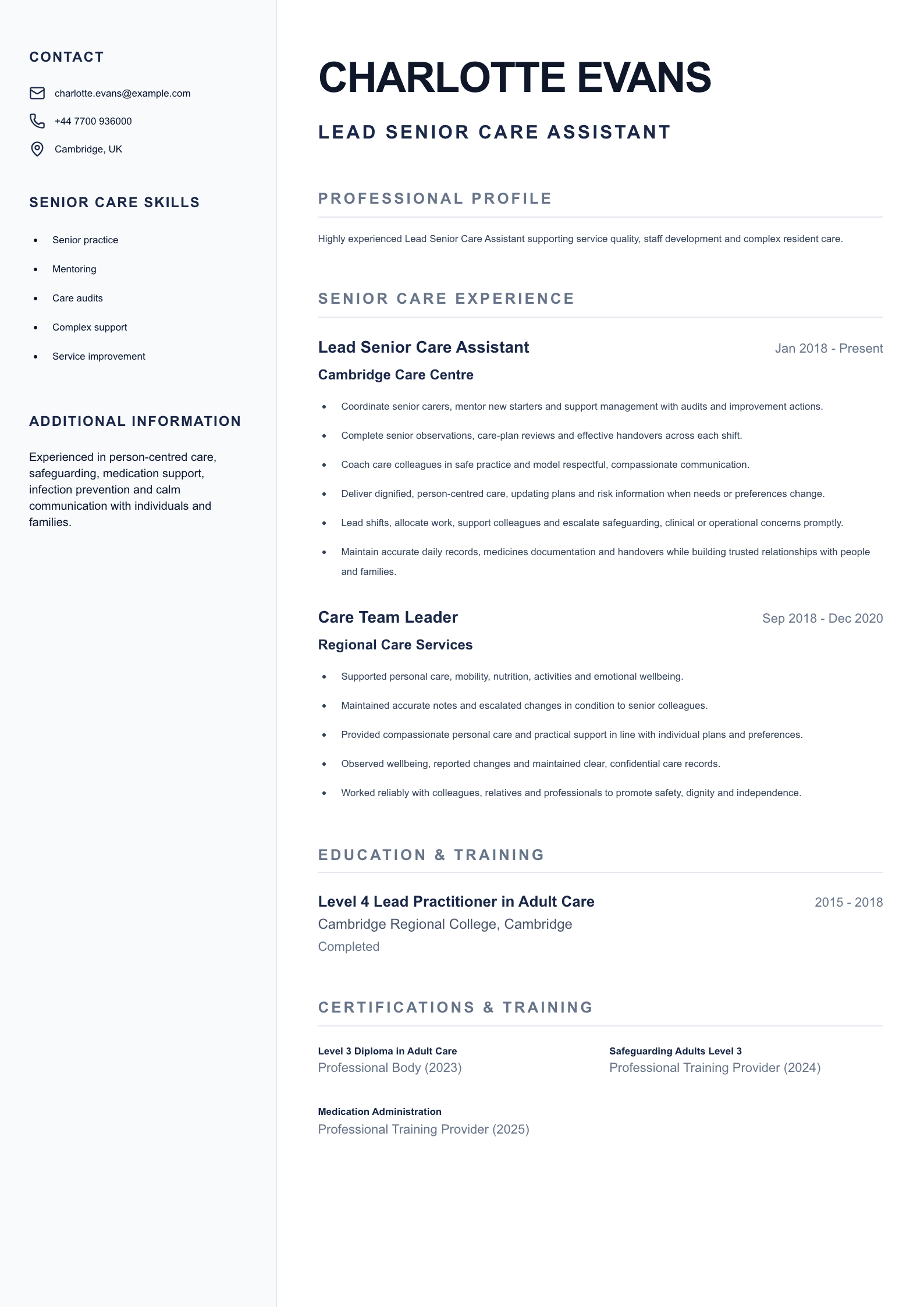 Lead Senior Care Assistant CV template