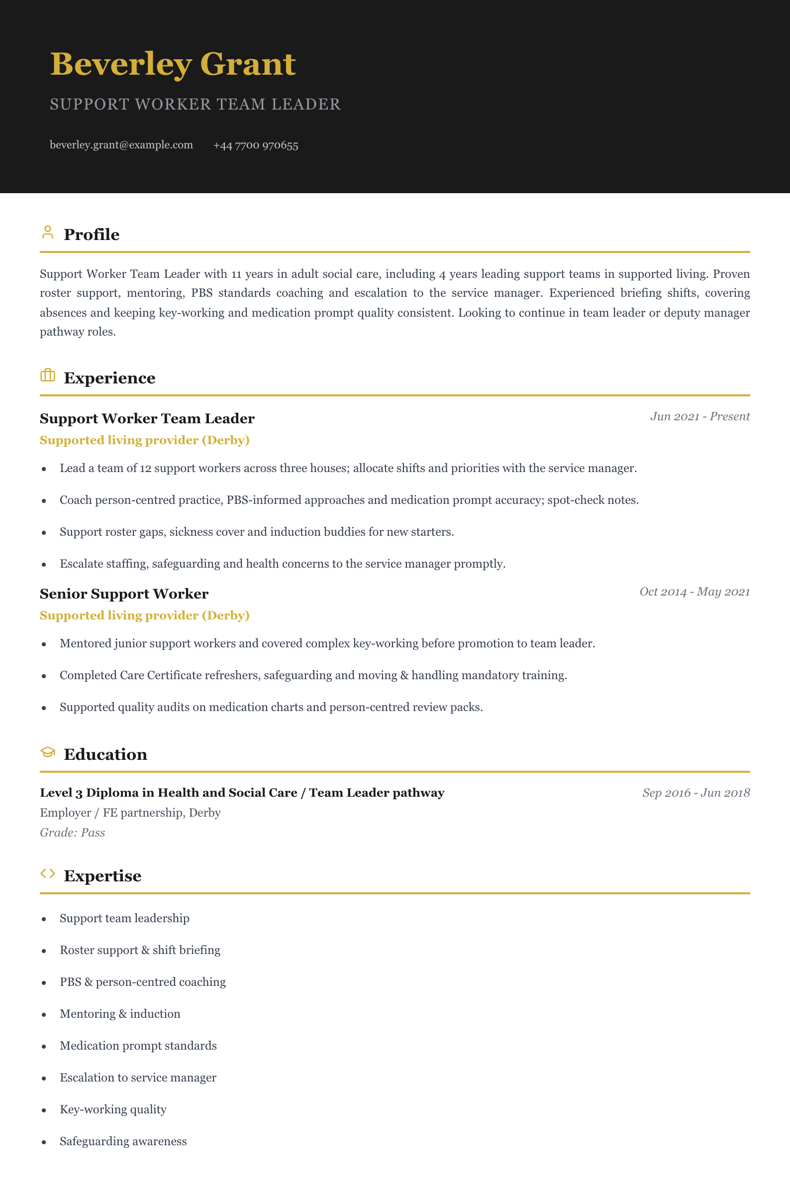 support worker team leader cv template
