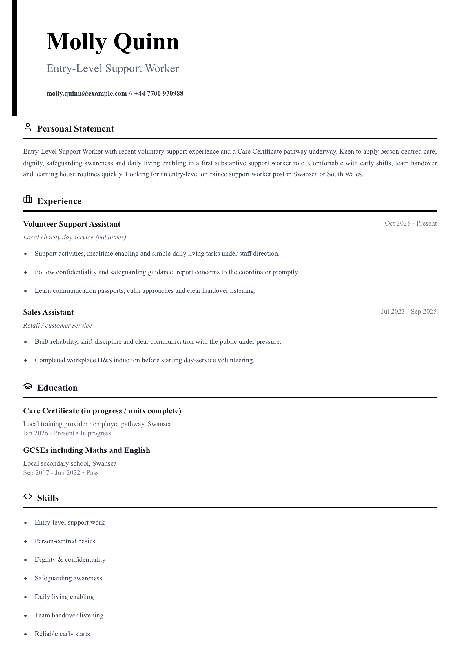 entry level support worker cv template