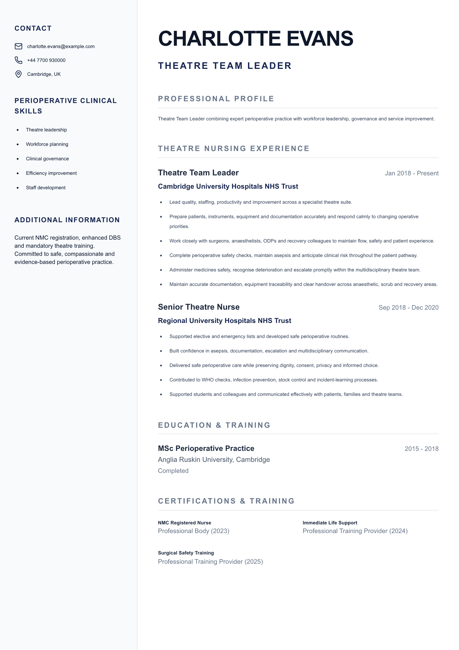 Theatre Team Leader CV template