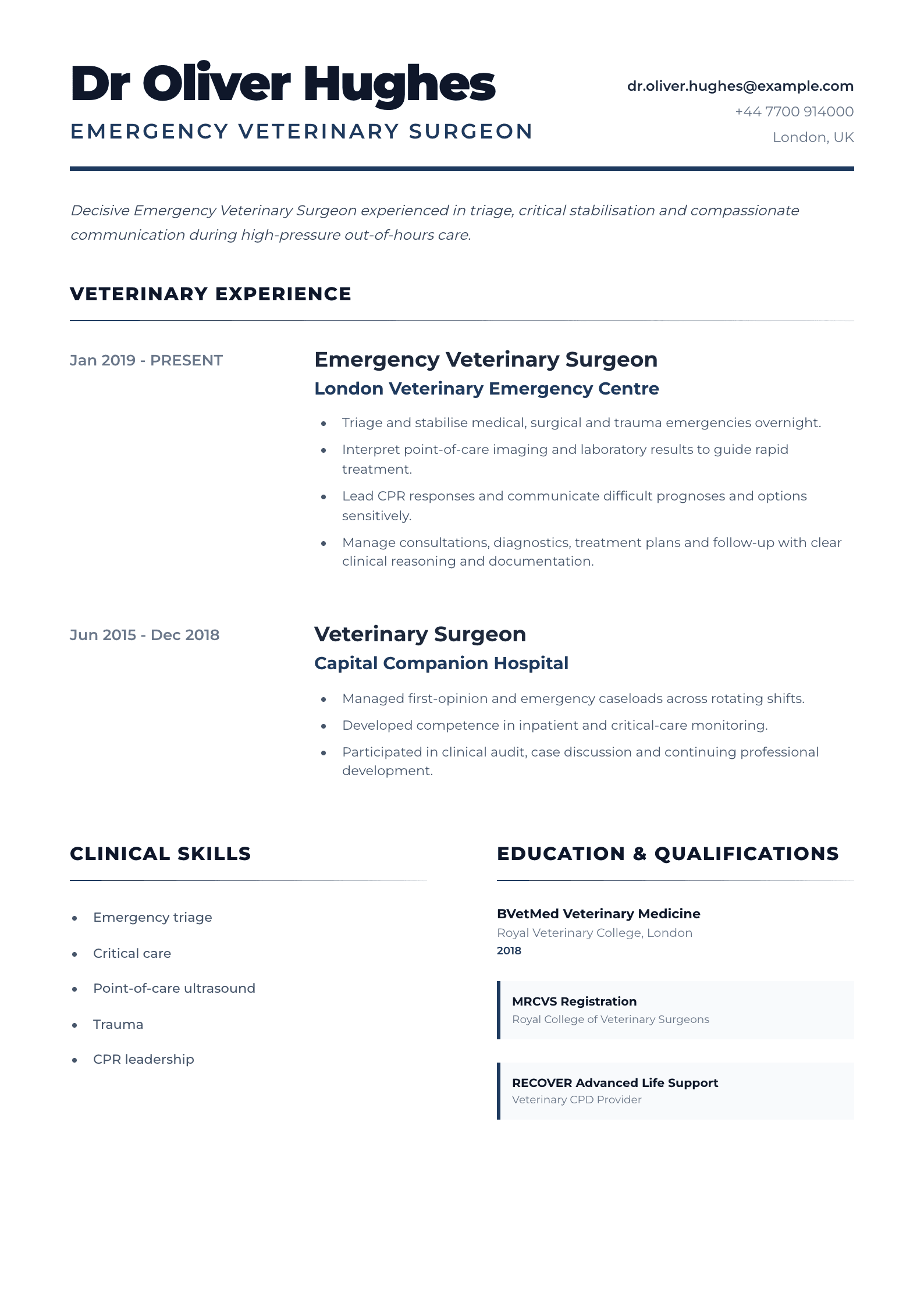 Emergency Veterinary Surgeon CV template
