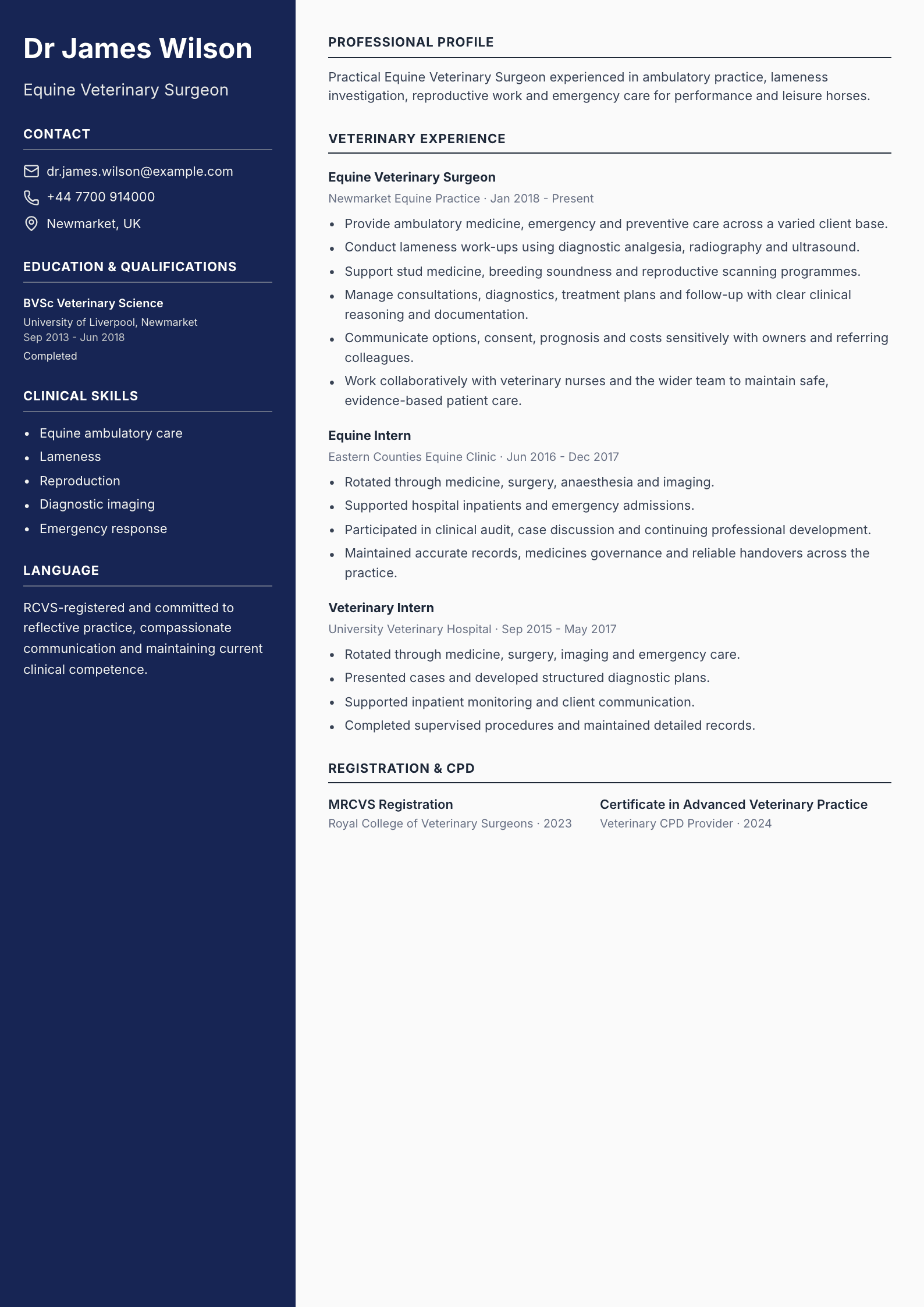 Equine Veterinary Surgeon CV template