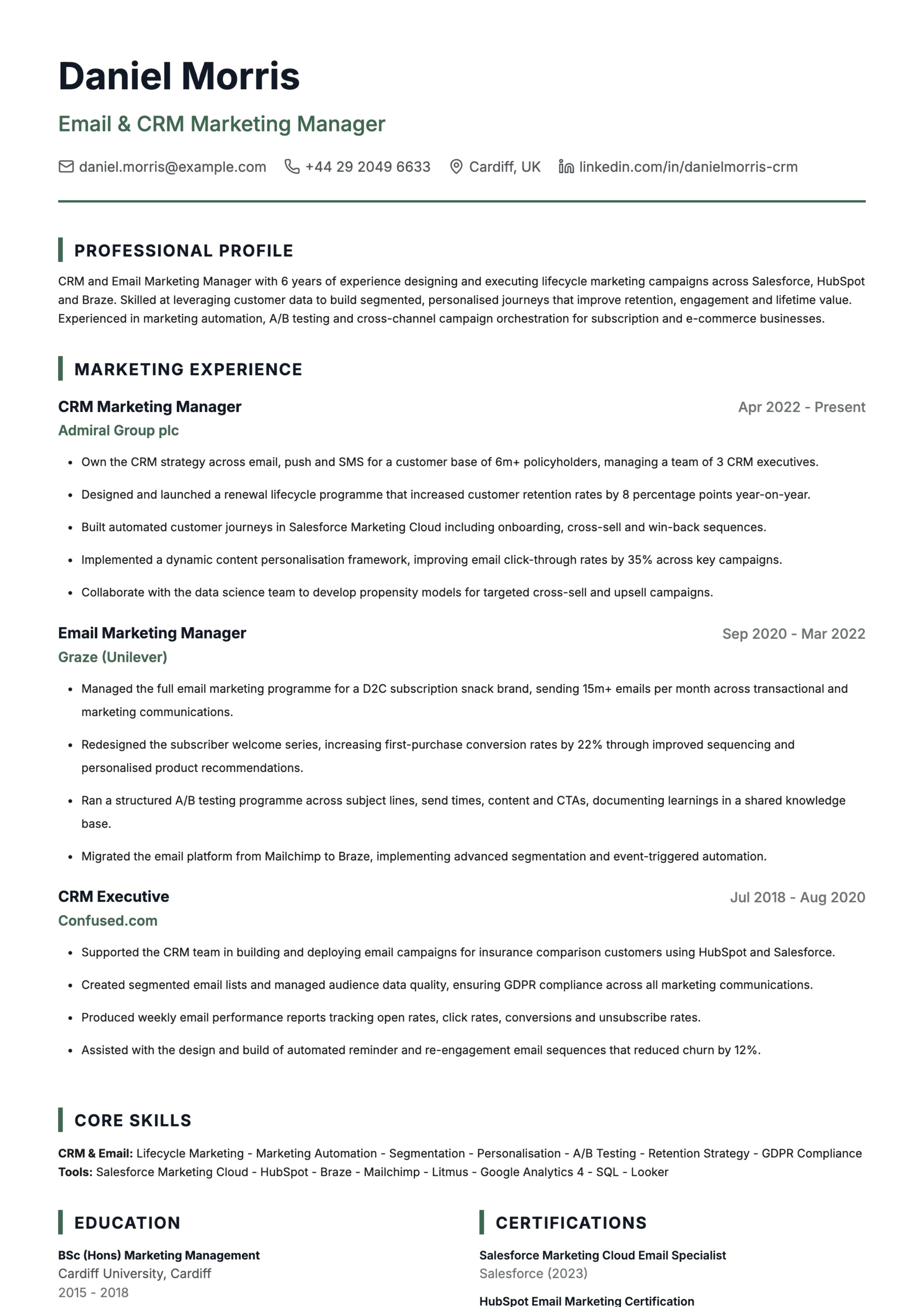 crm marketing manager cv template