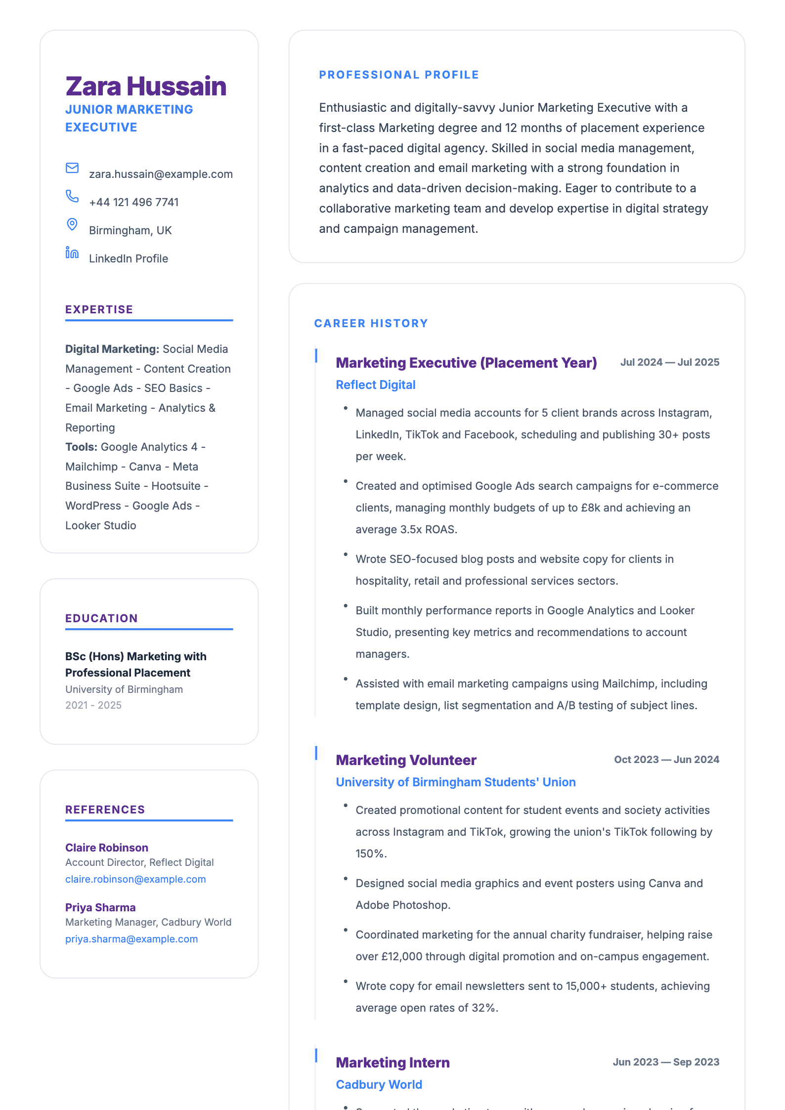 junior marketing executive cv template