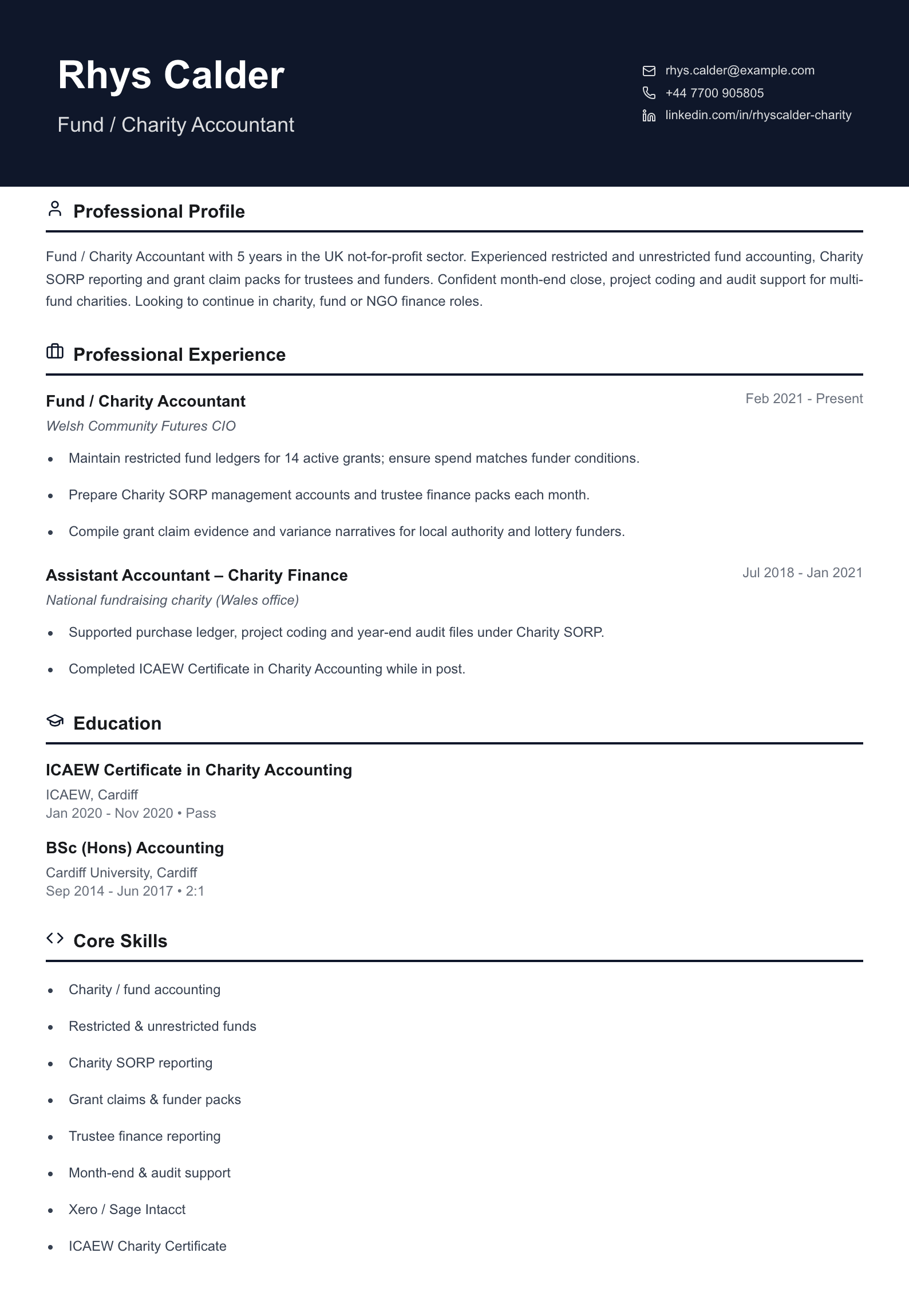 charity fund accountant cv template