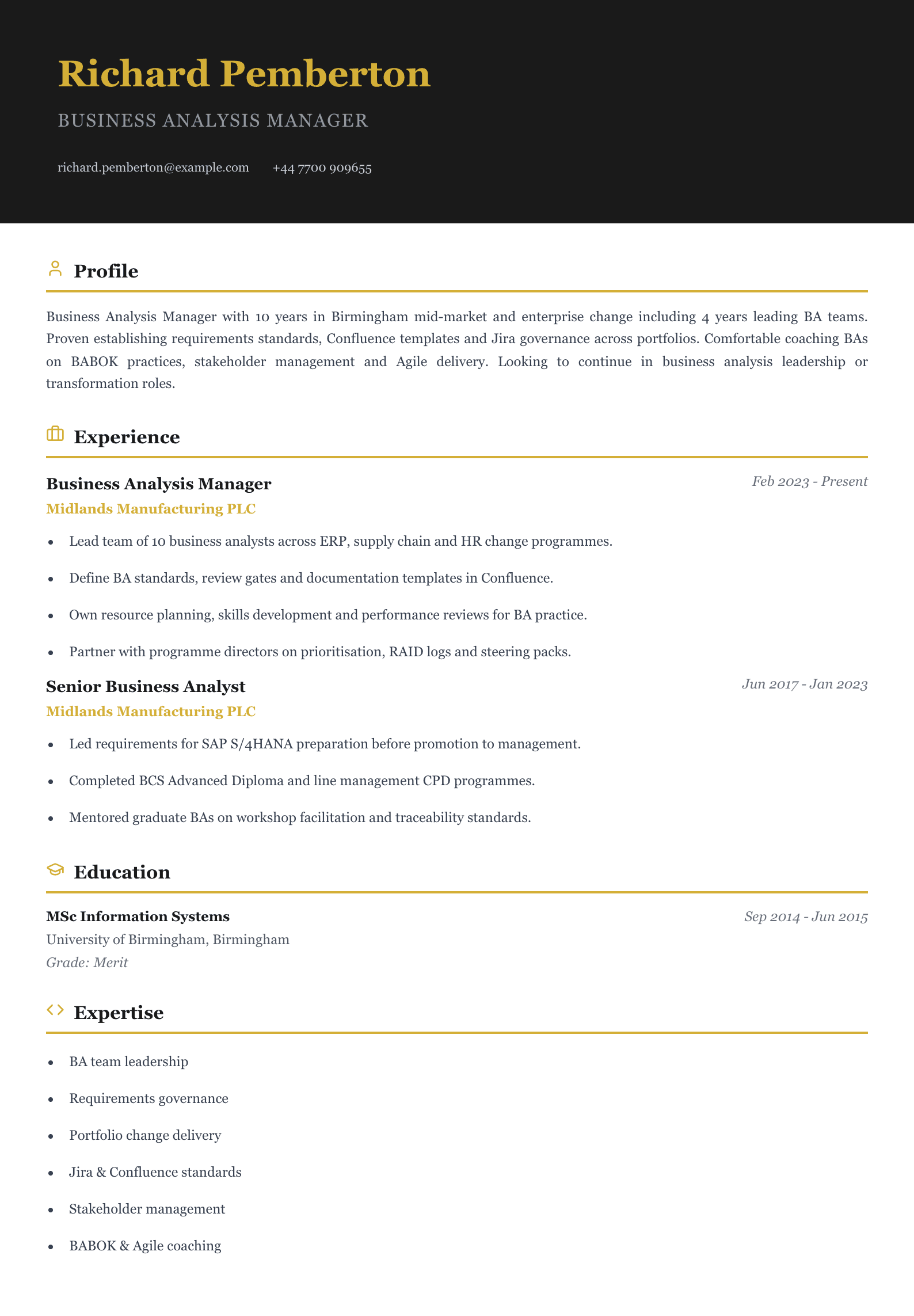 business analysis manager cv template