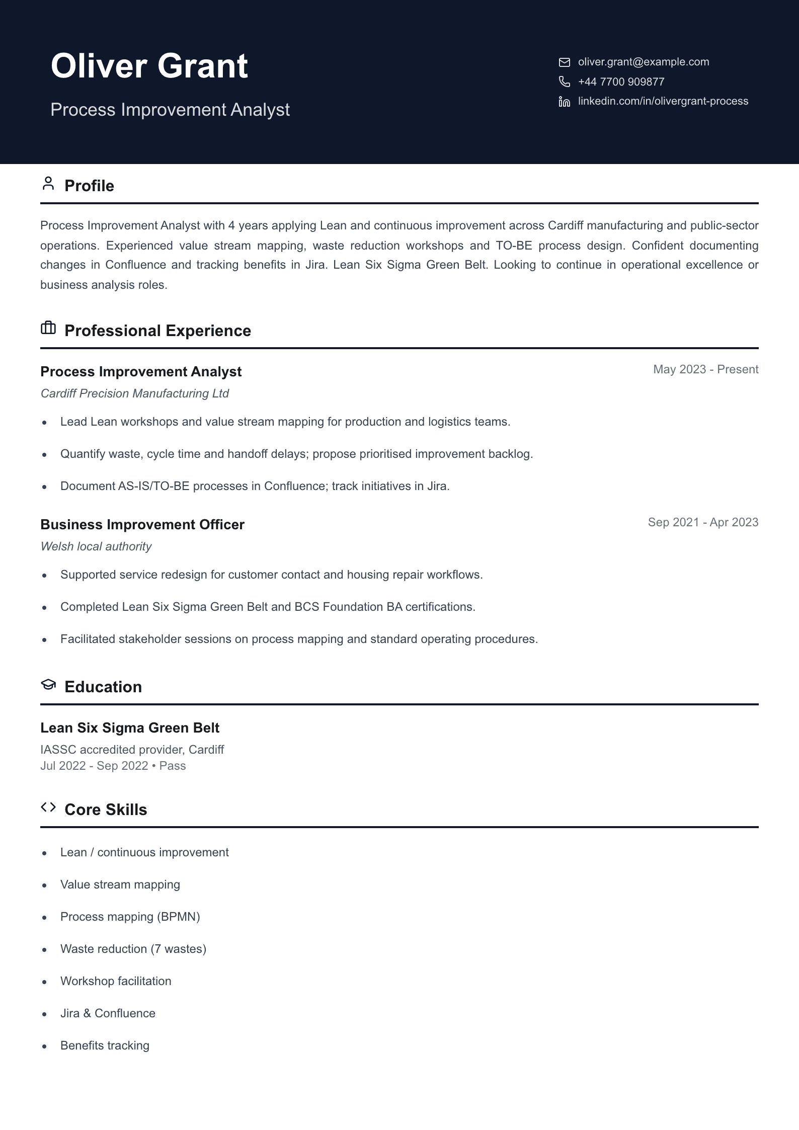 process improvement analyst cv template