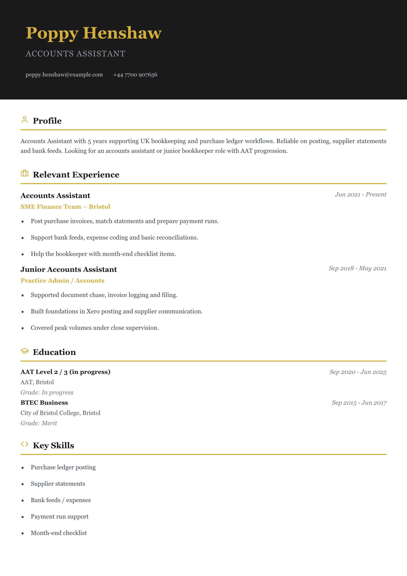 accounts assistant CV template