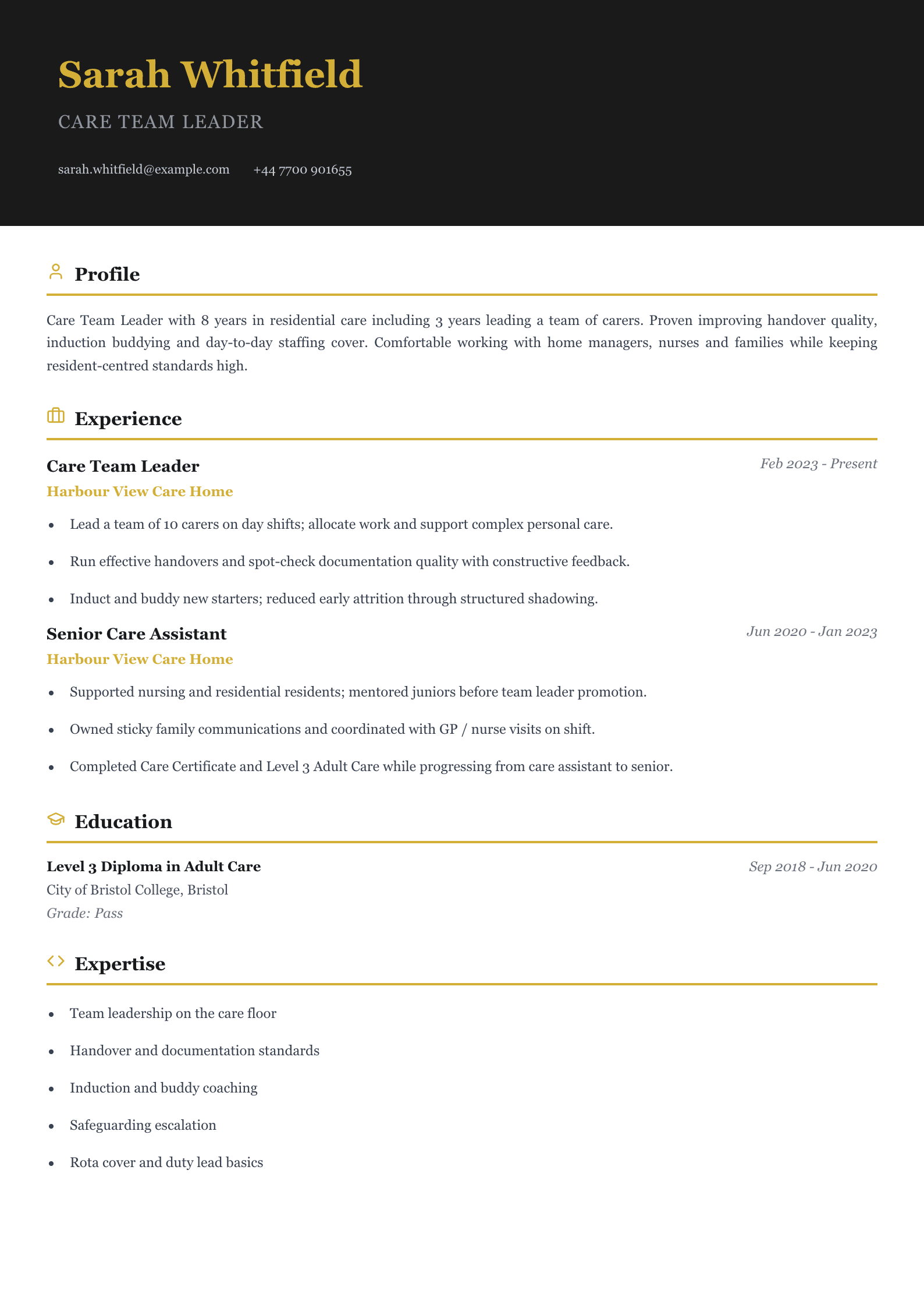care team leader cv template