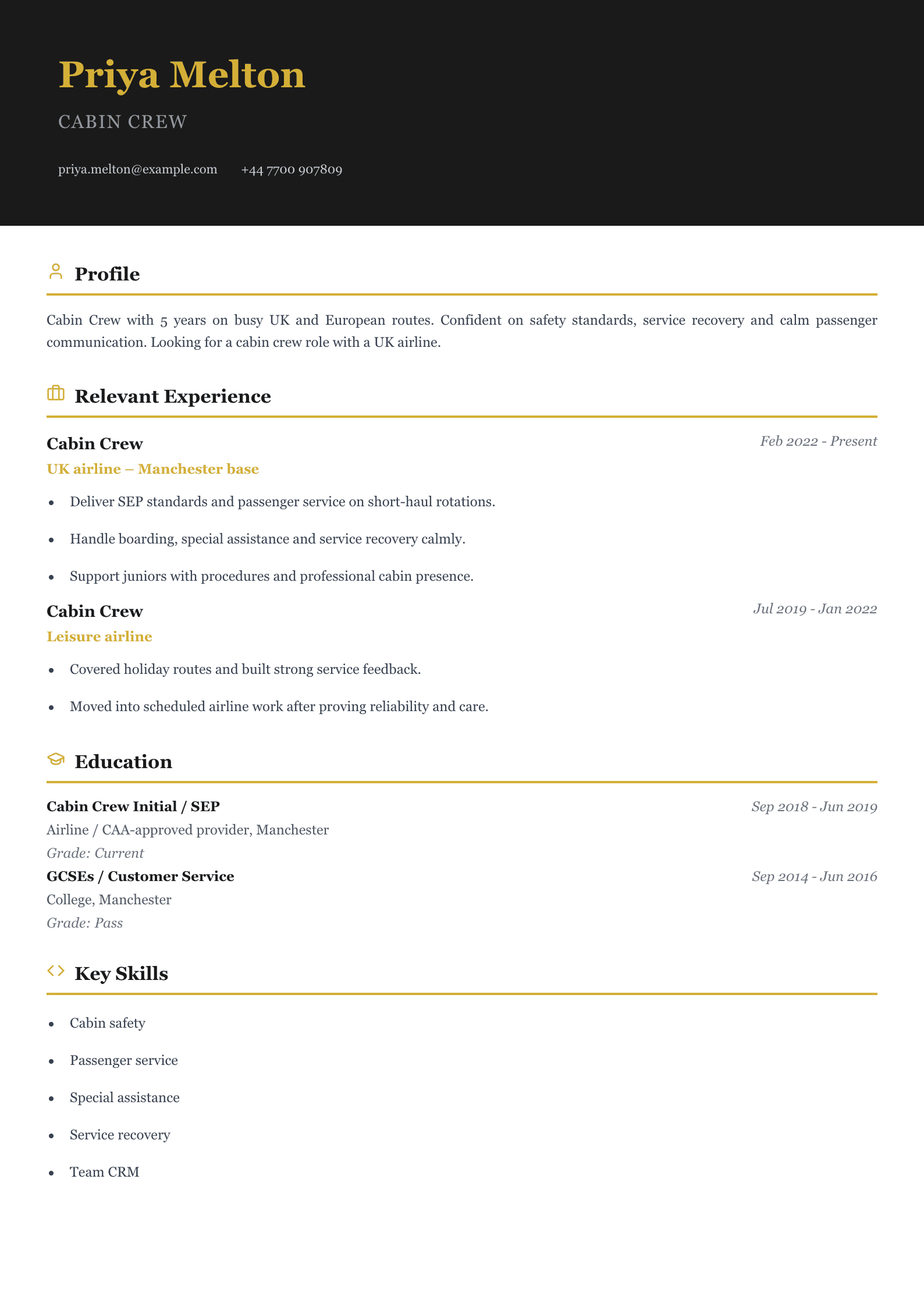 cabin crew CV template