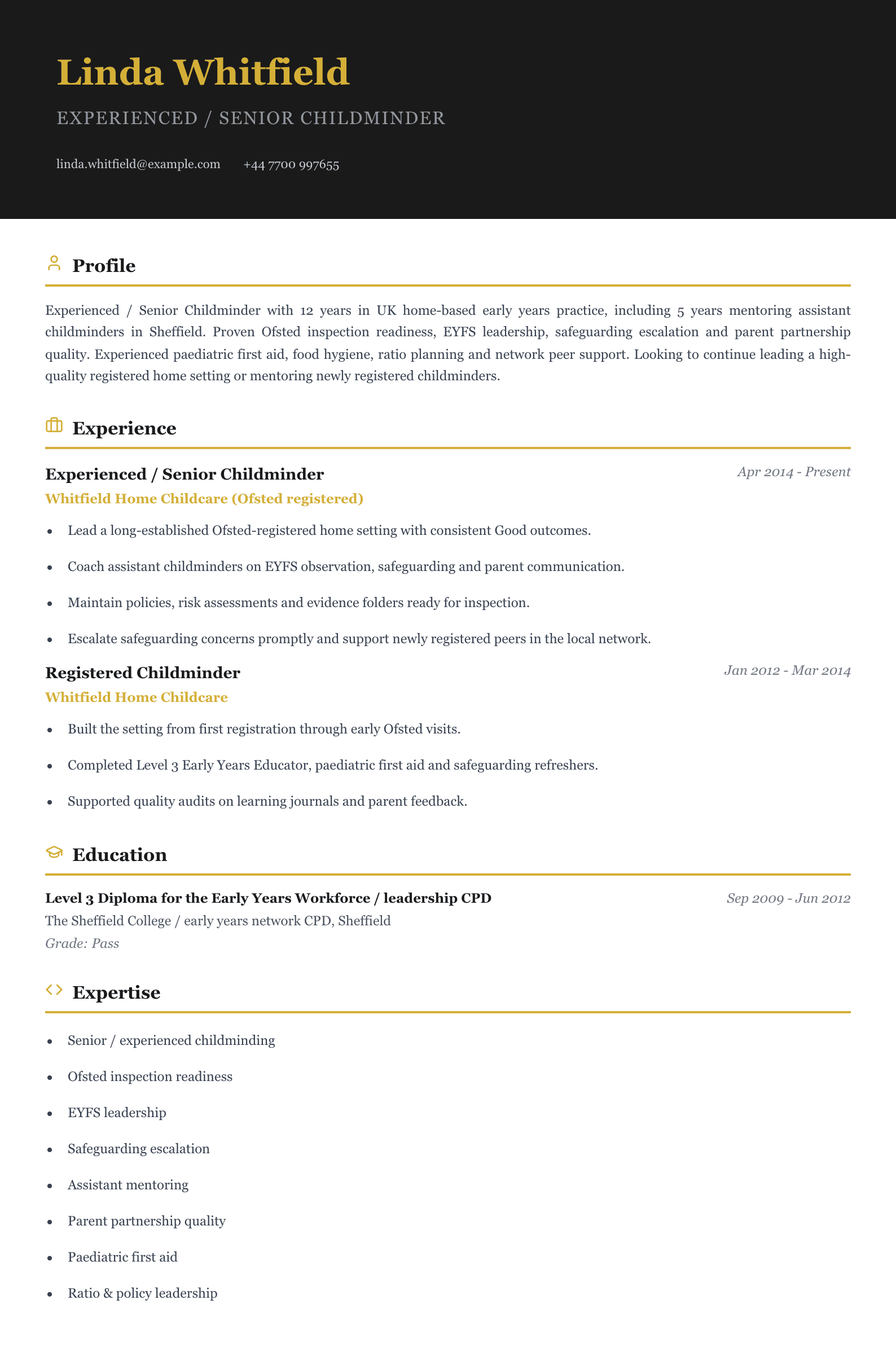 experienced senior childminder cv template