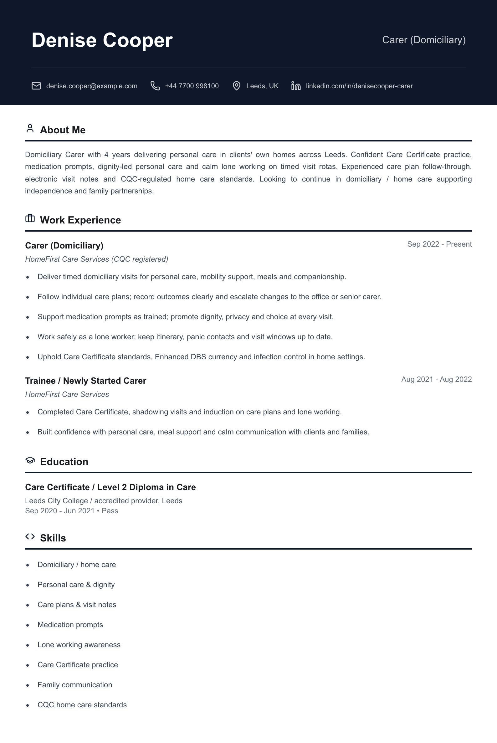 carer domiciliary cv template