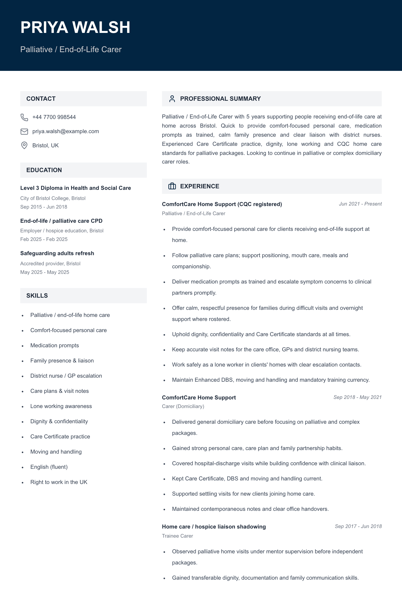 palliative end of life carer cv template