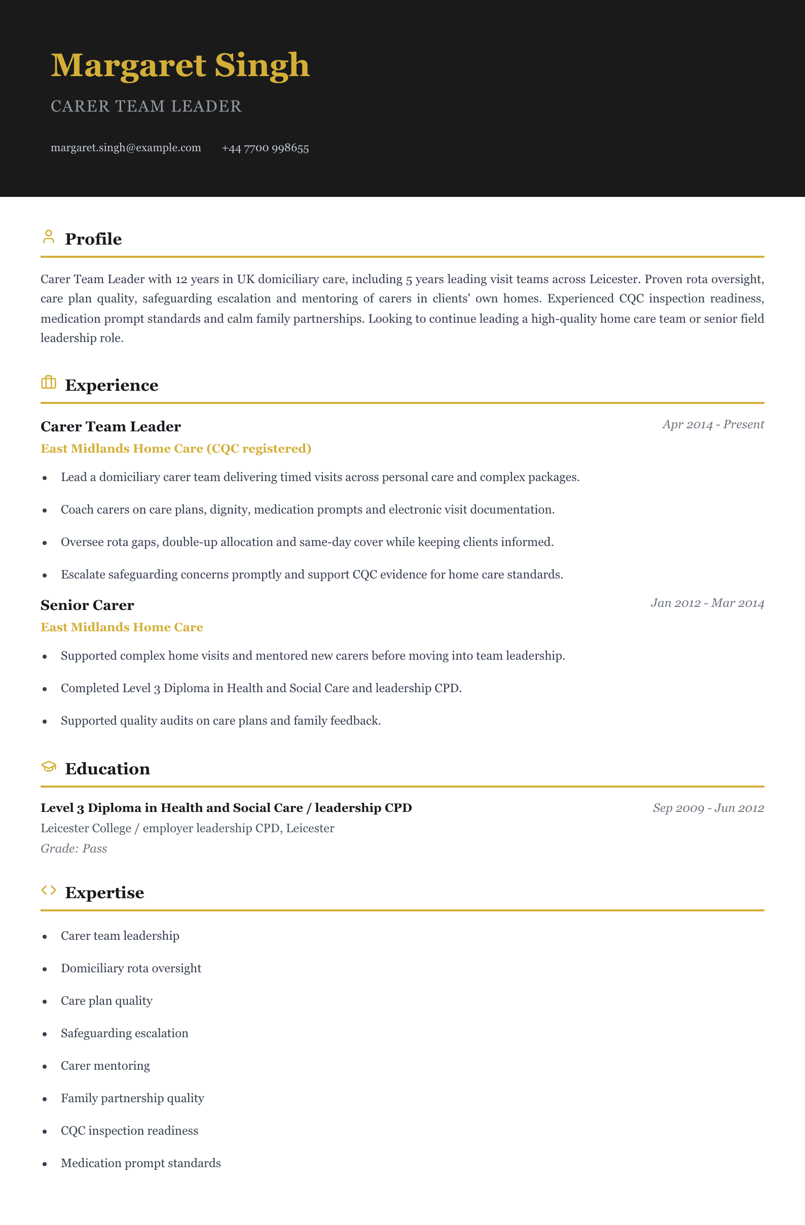 carer team leader cv template