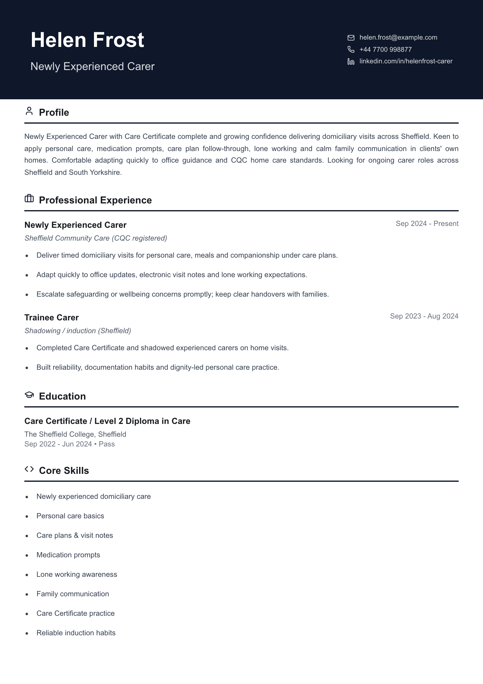 newly experienced carer cv template