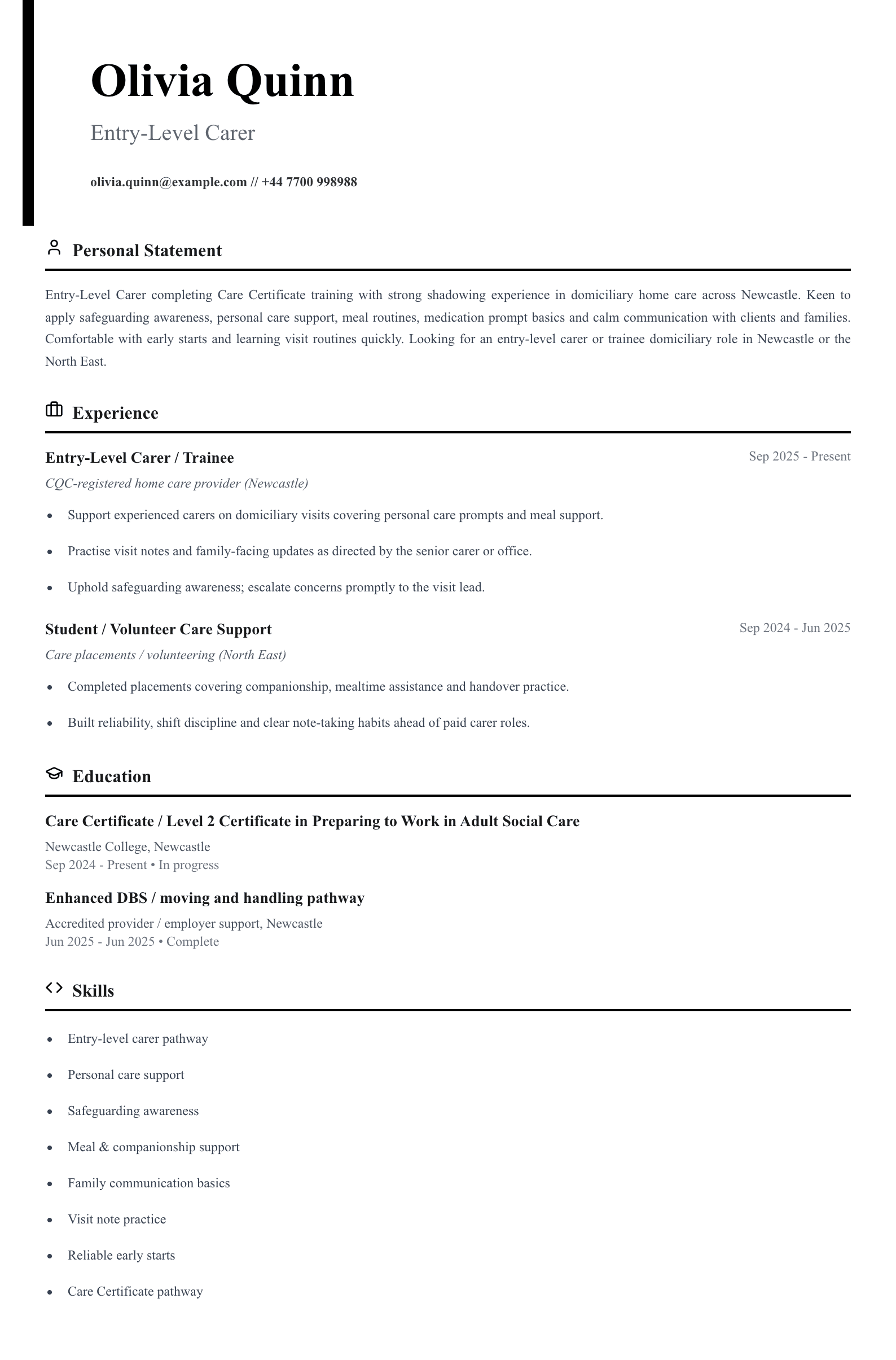entry level carer cv template