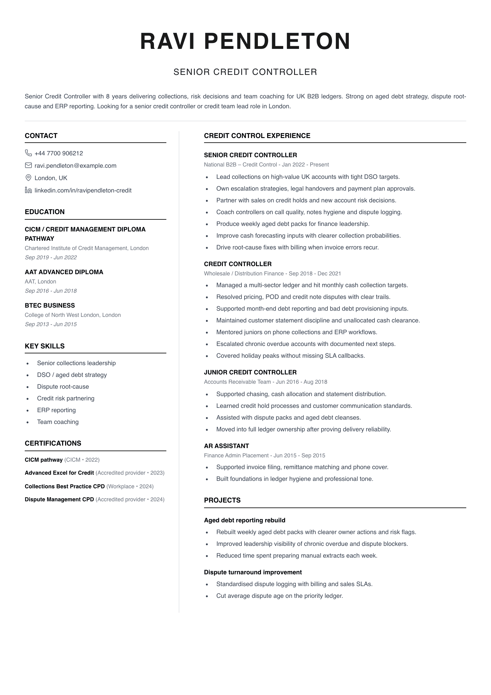 senior credit controller CV template