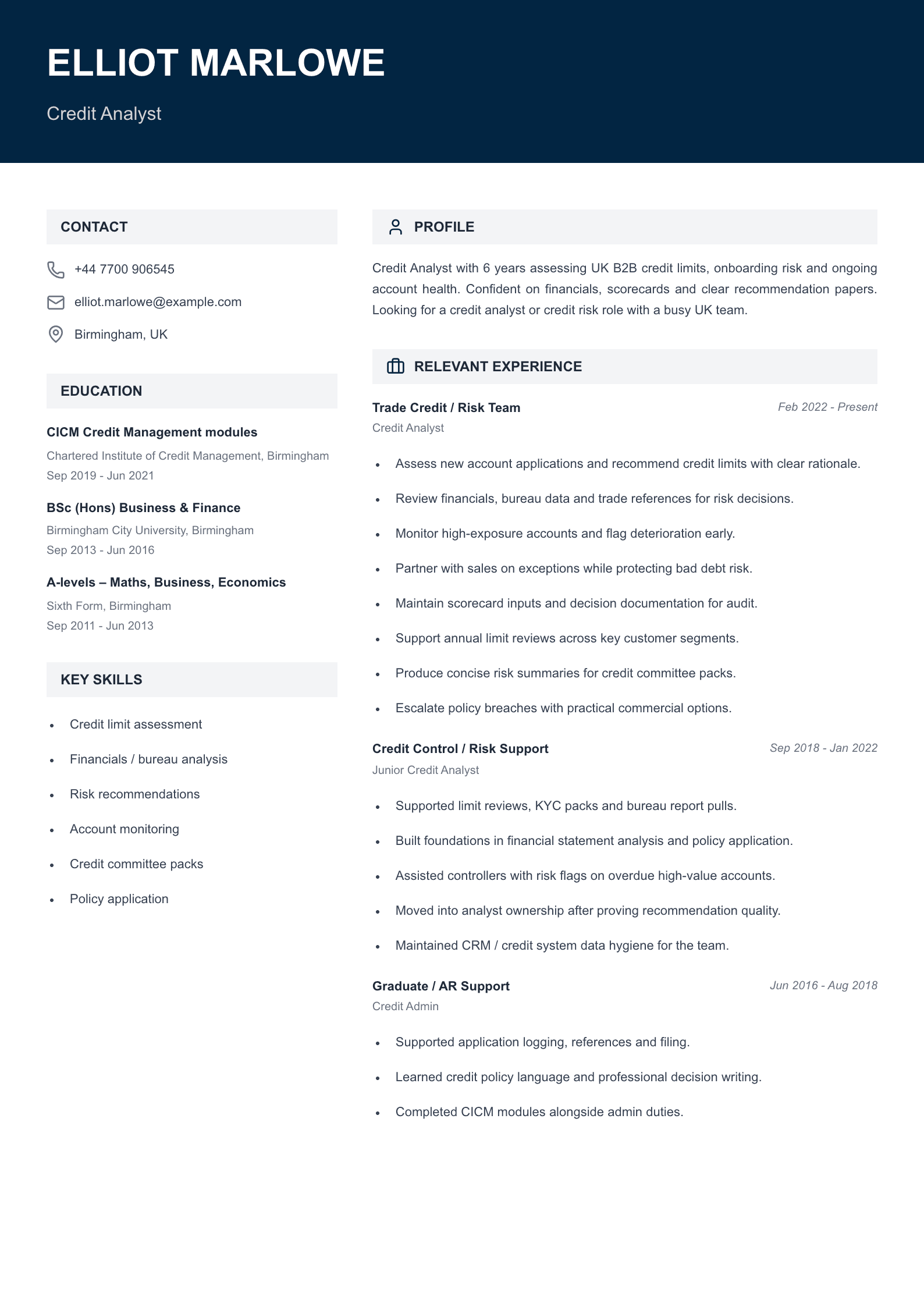 credit analyst CV template