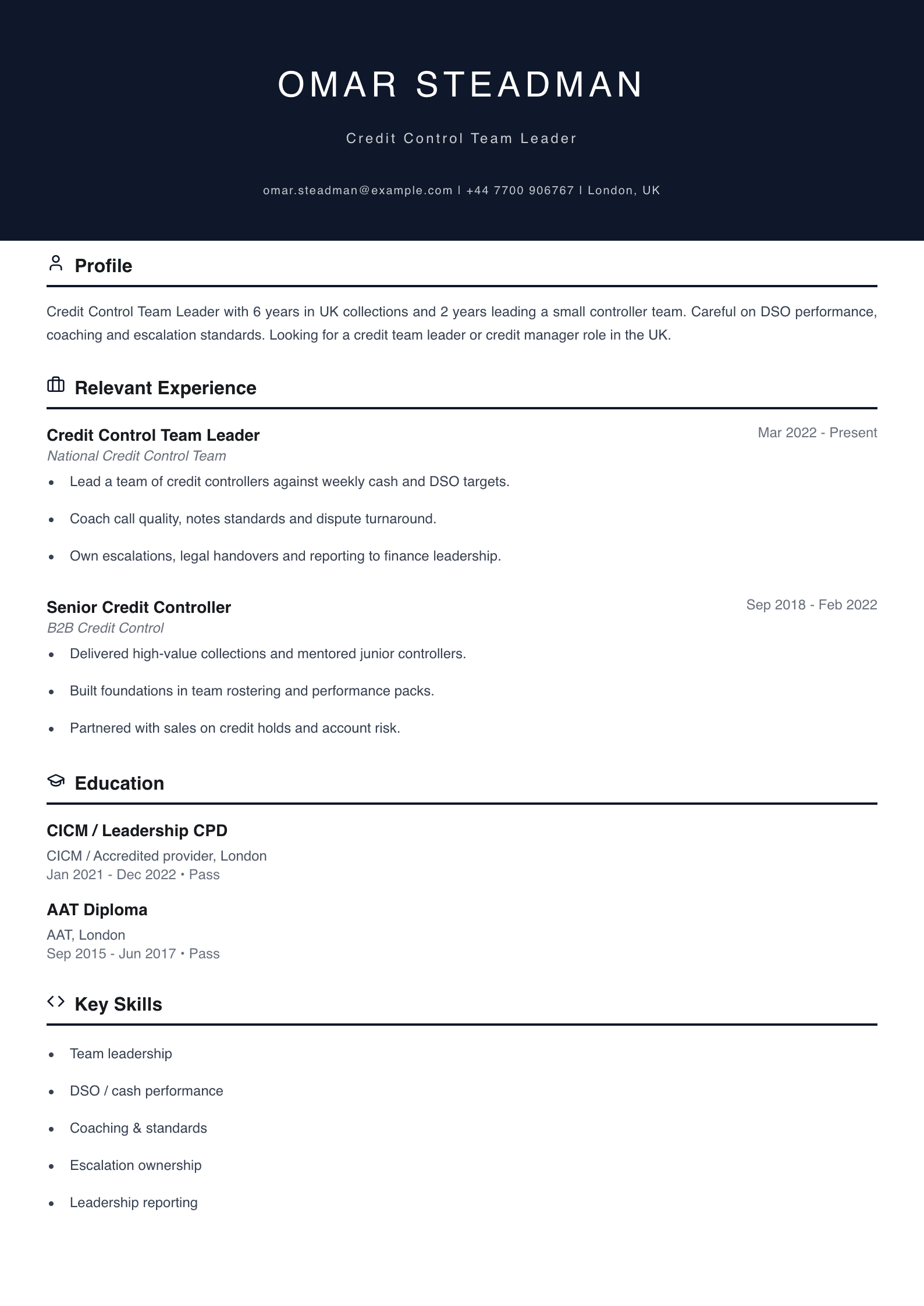 credit control team leader CV template