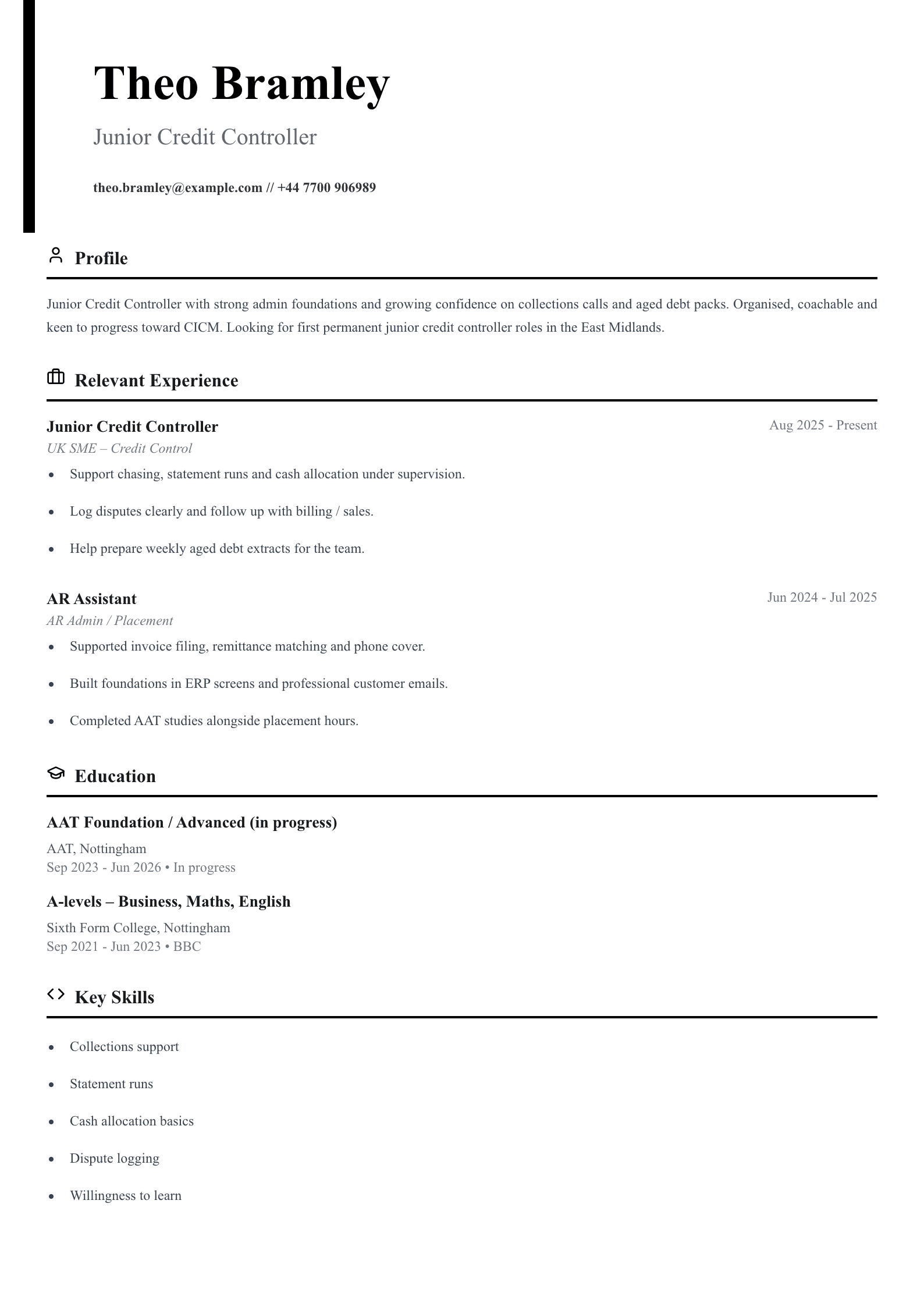 junior credit controller CV template
